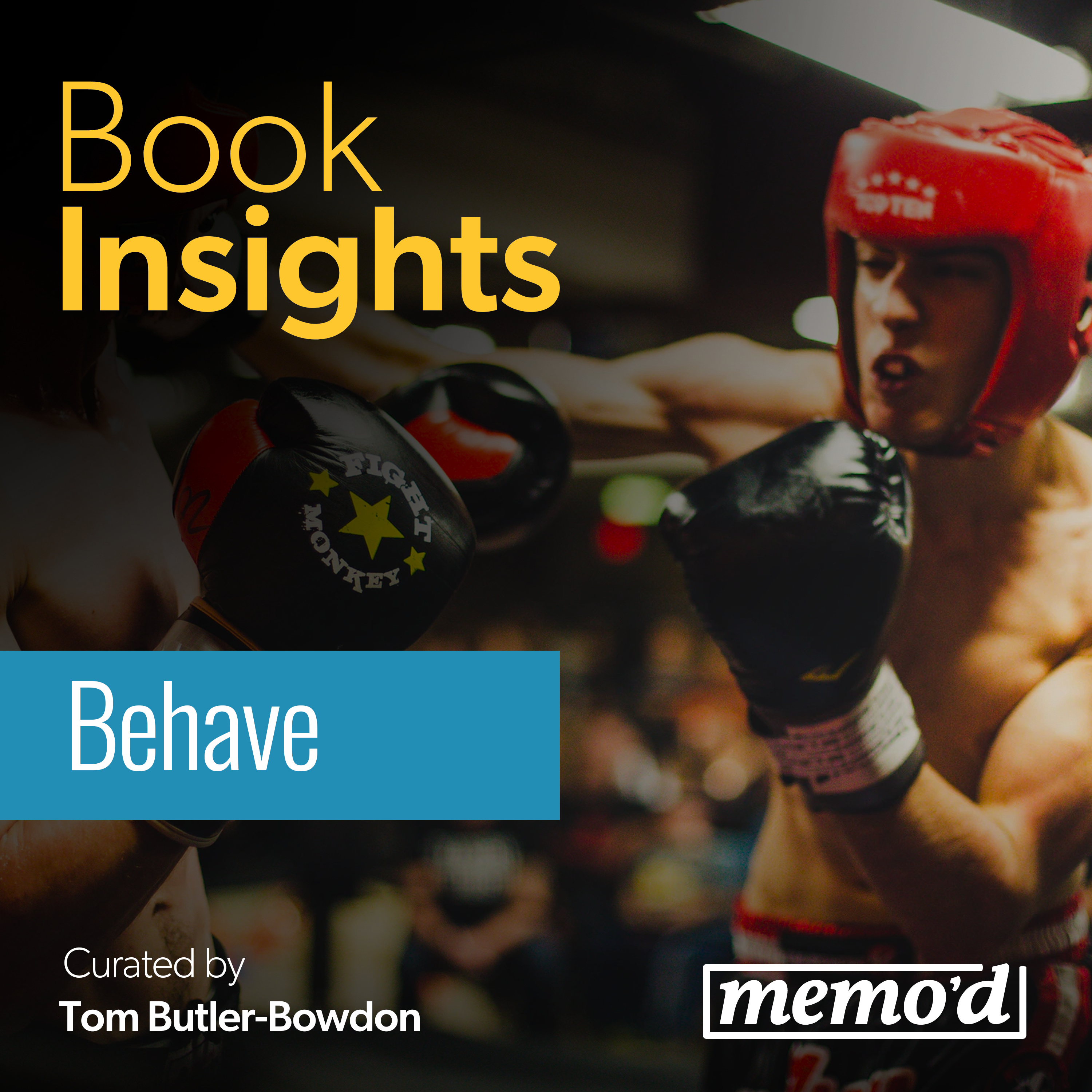 Book Insights Podcast