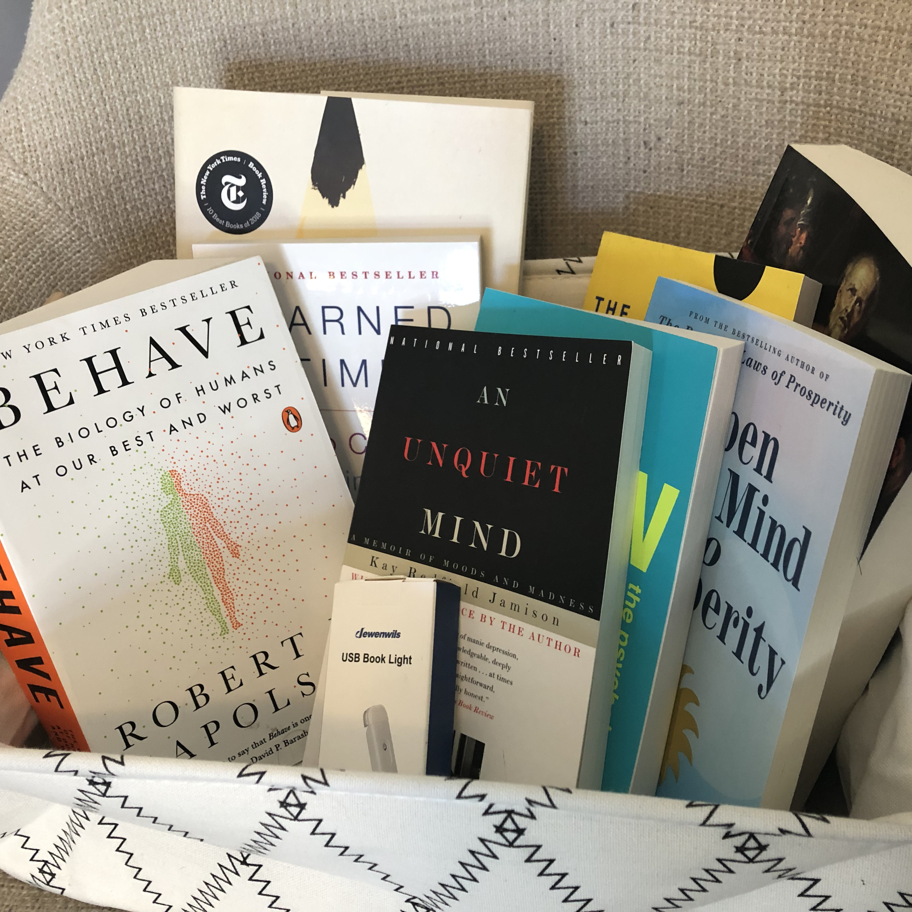 Book Insights Podcast