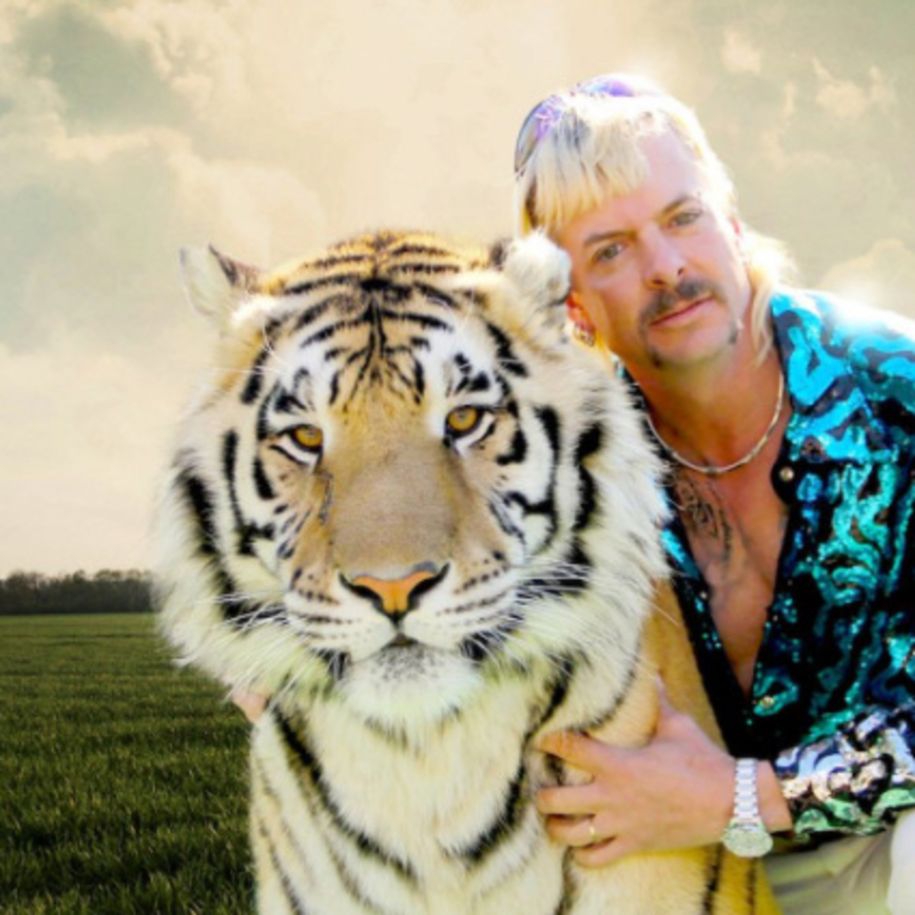Tiger King episode artwork