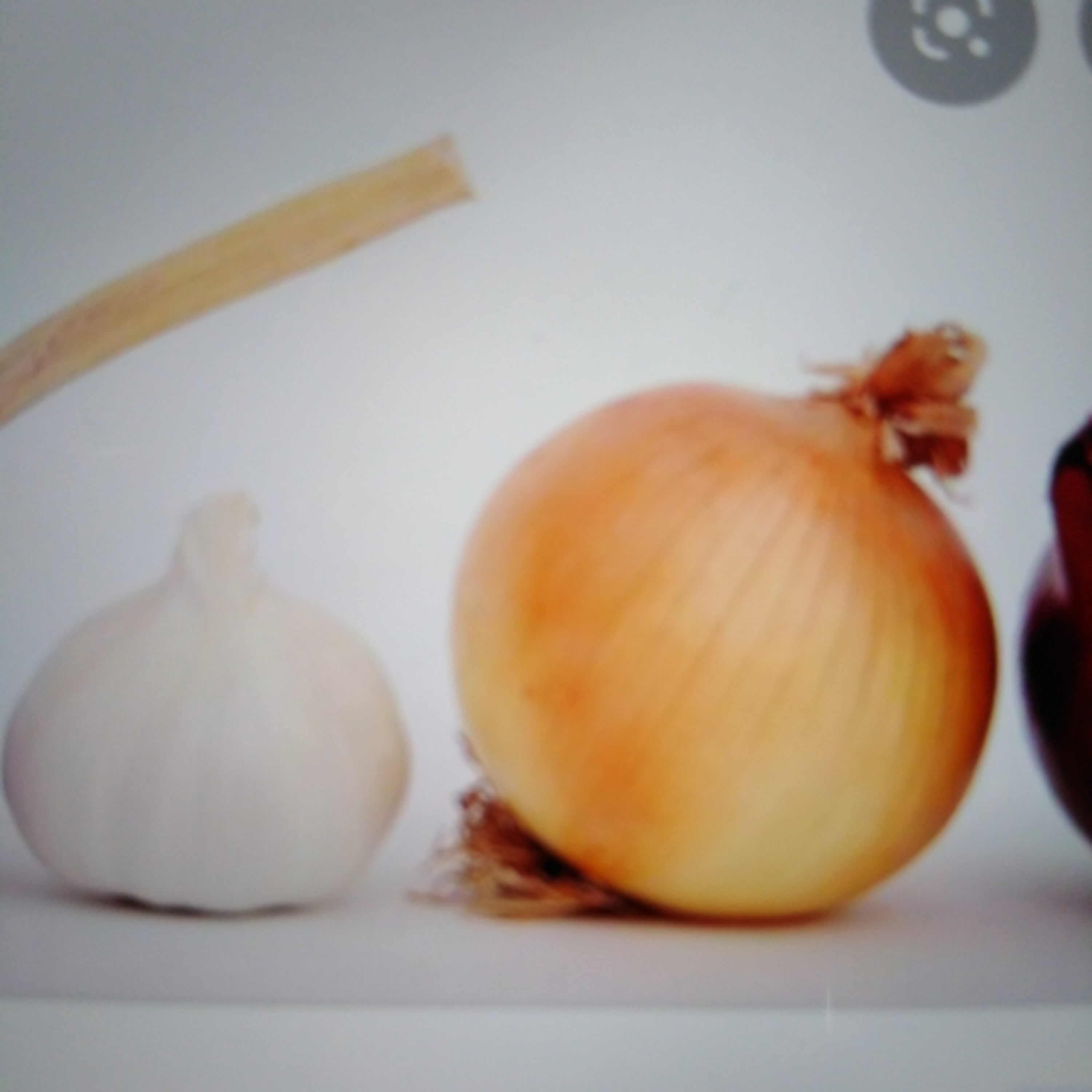 Cultivos importantes de la horticultura segunda parte