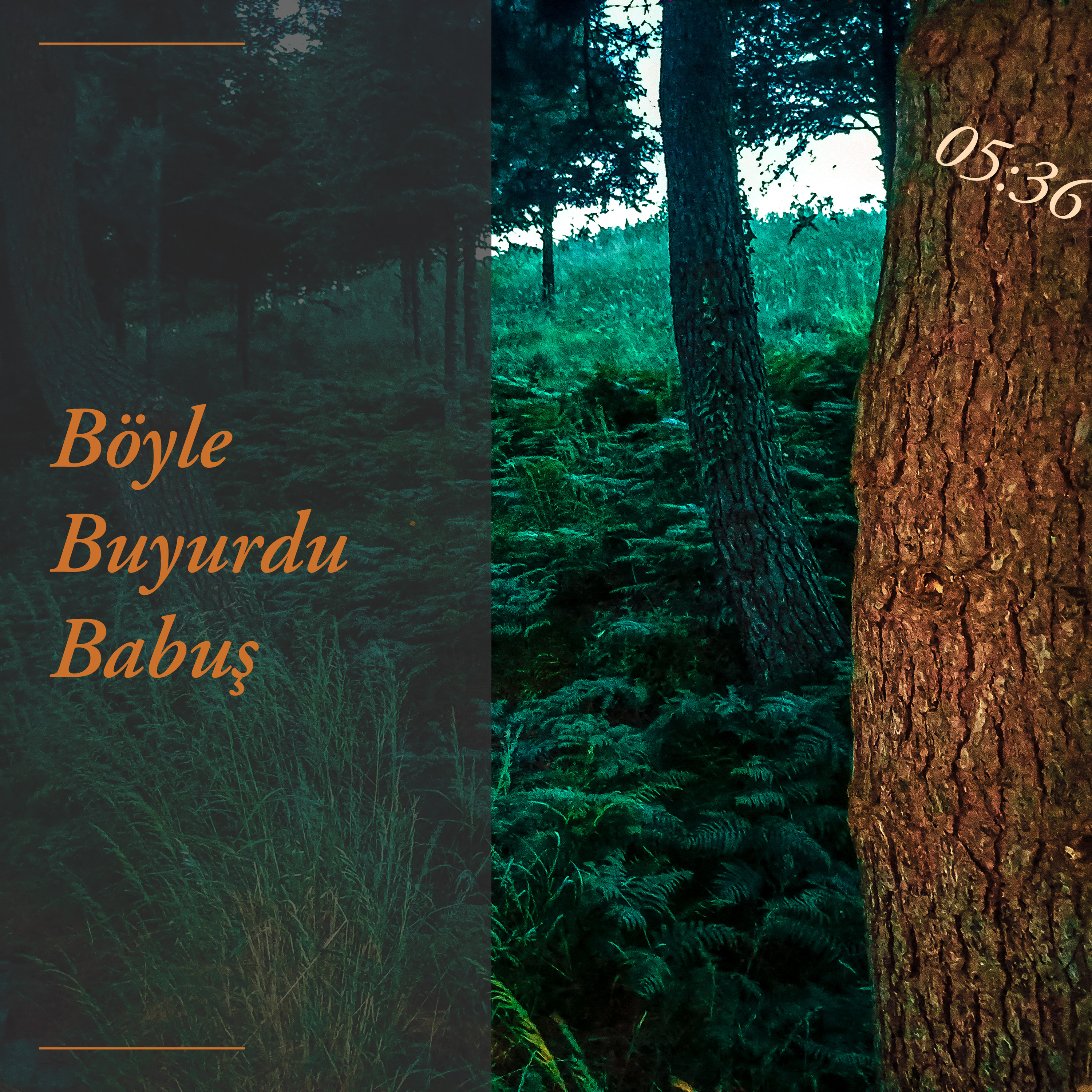 Böyle Buyurdu Babuş