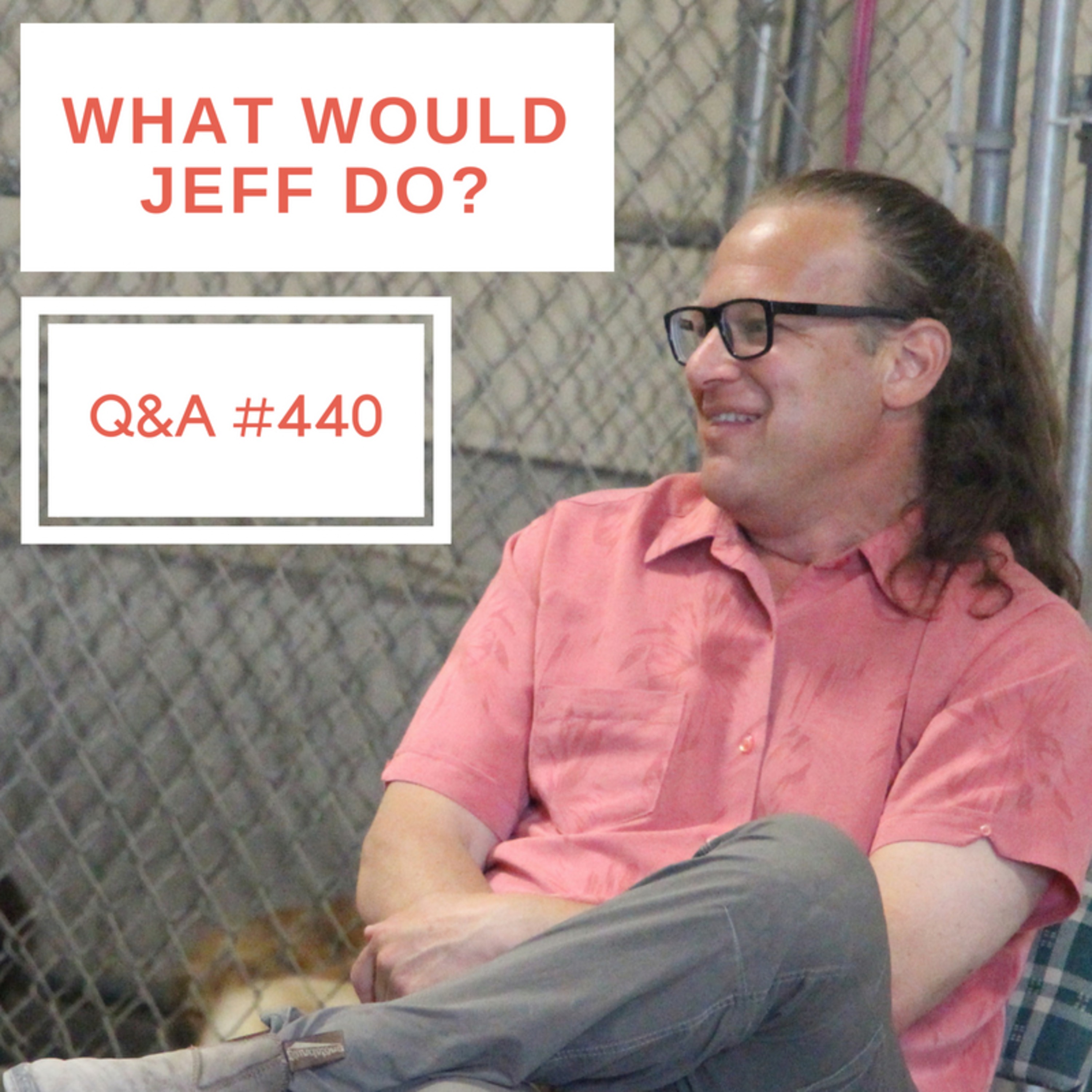 Socializing Puppies | Dog lays down on walks | What Would Jeff Do? Dog Training Q & A #440 episode artwork
