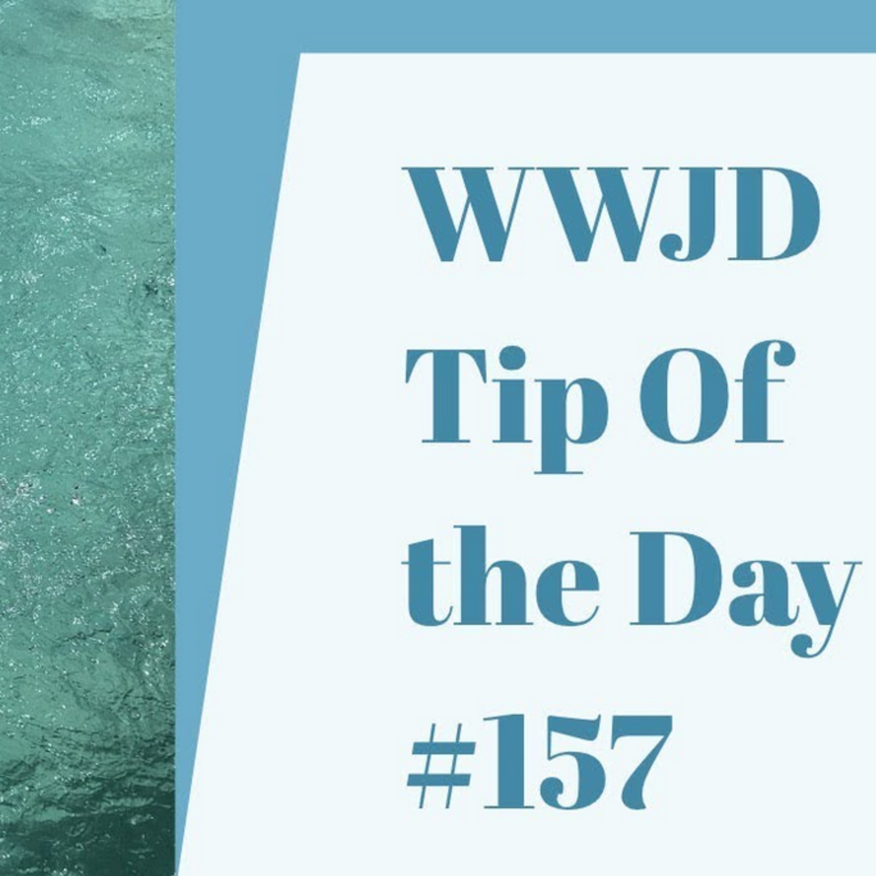 Punishment, What Would Jeff Do? Dog Training Tip of the Day #157 episode artwork
