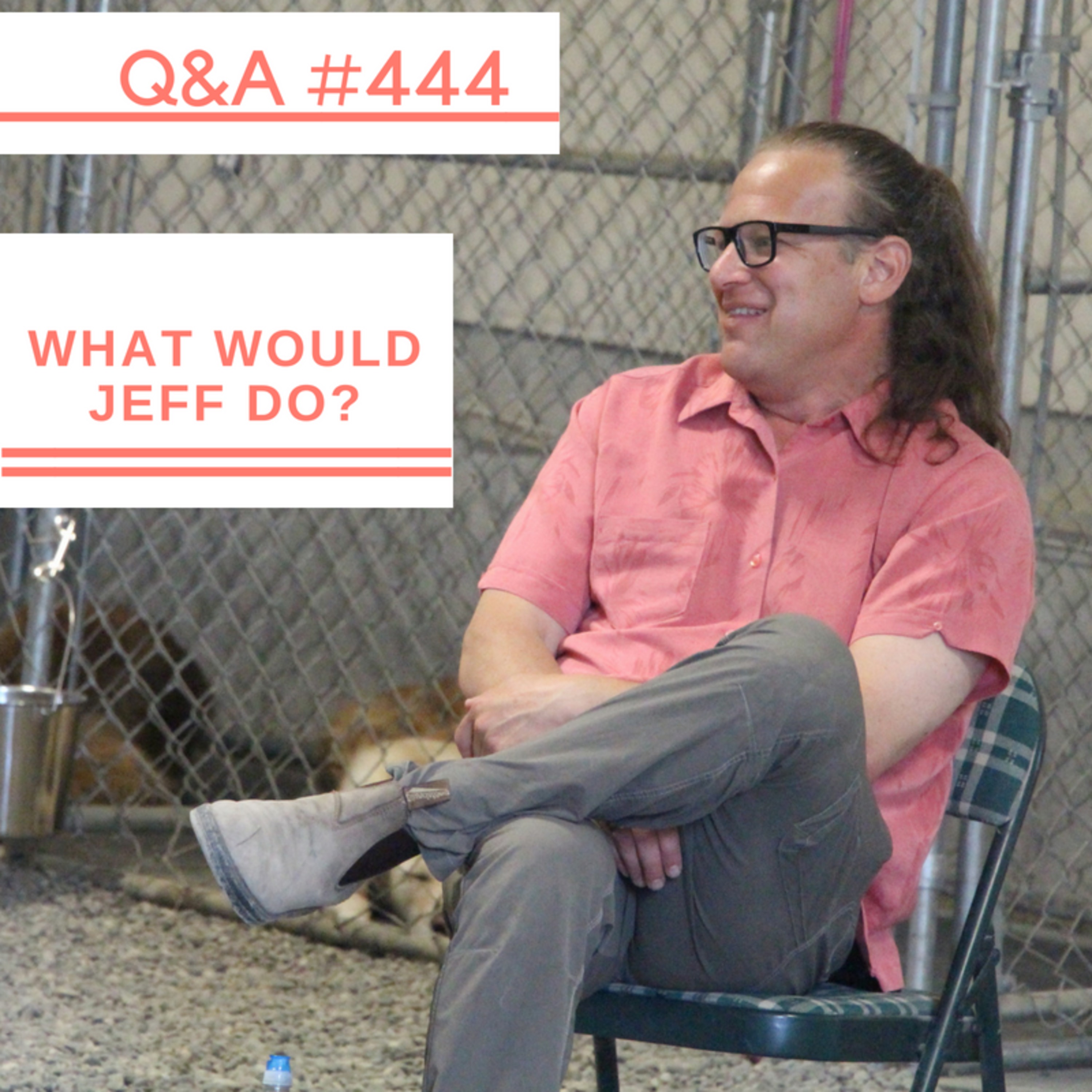 Fearful dog training | Dog freaks around visitors | What Would Jeff Do? Dog Training Q & A #444 episode artwork