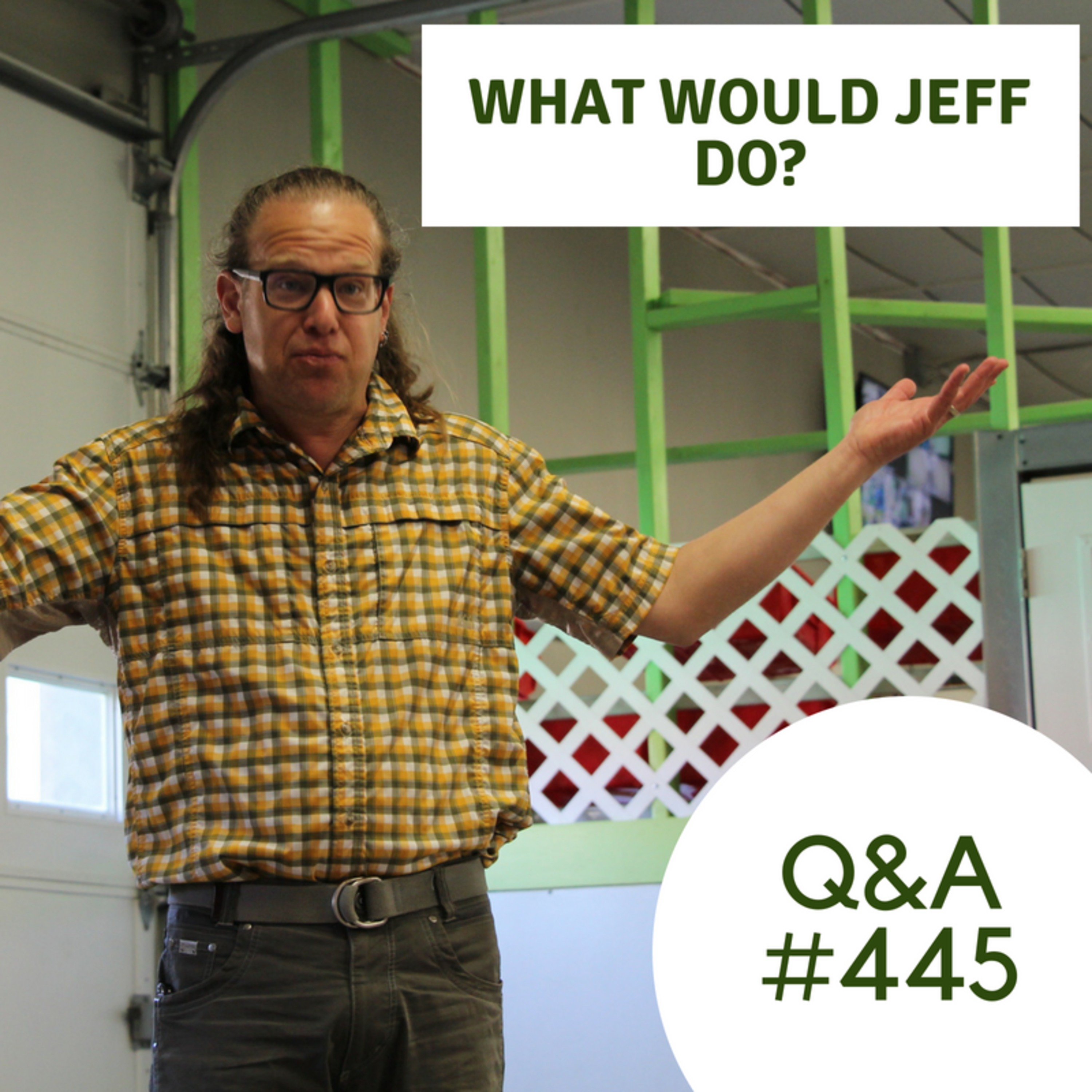 Walking a nervous dog | Stop leash reactivity in dogs | What Would Jeff Do? Dog Training Q & A #445 episode artwork