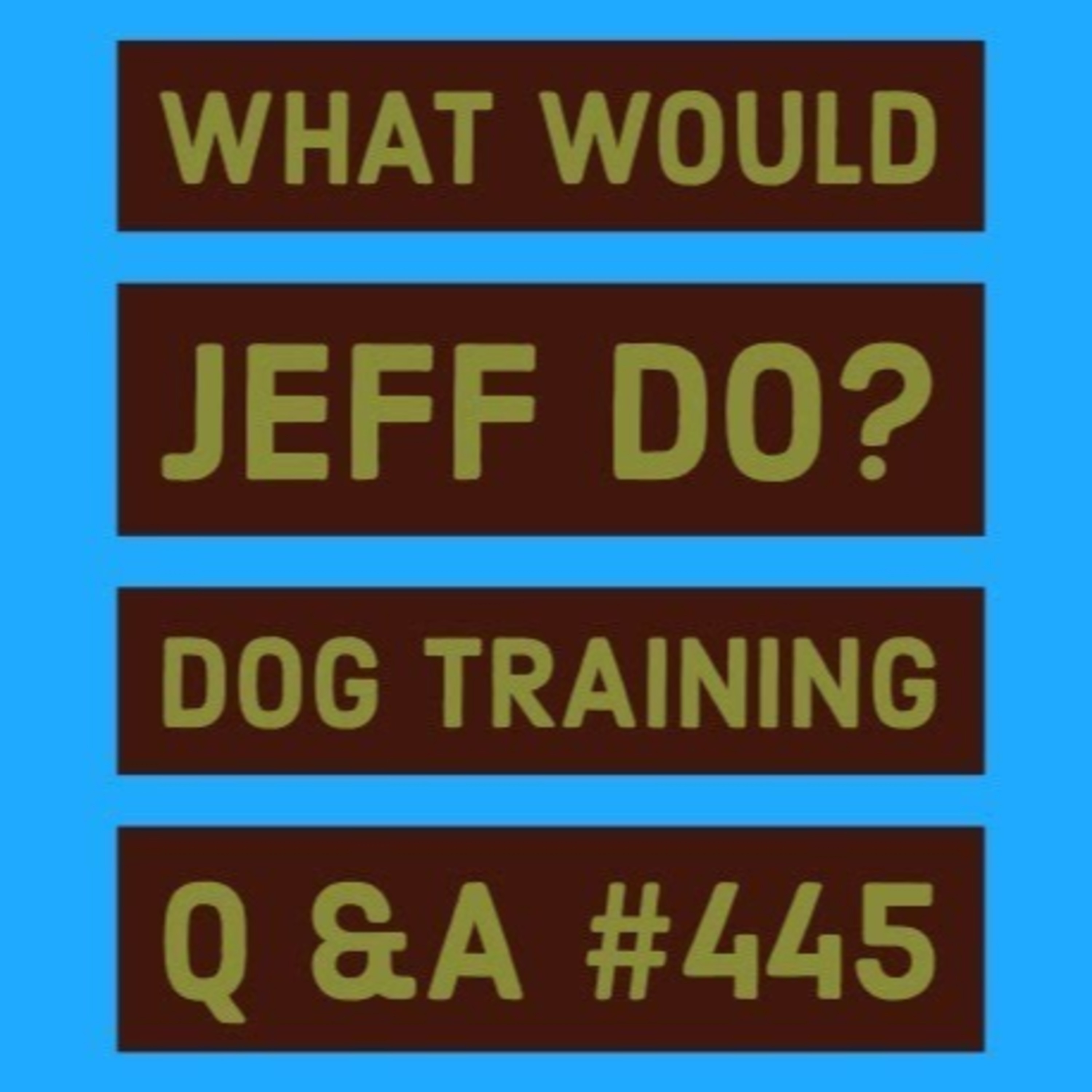 Teaching a dog impulse control | Stop dog growling | What Would Jeff Do? Dog Training Q & A #446 episode artwork