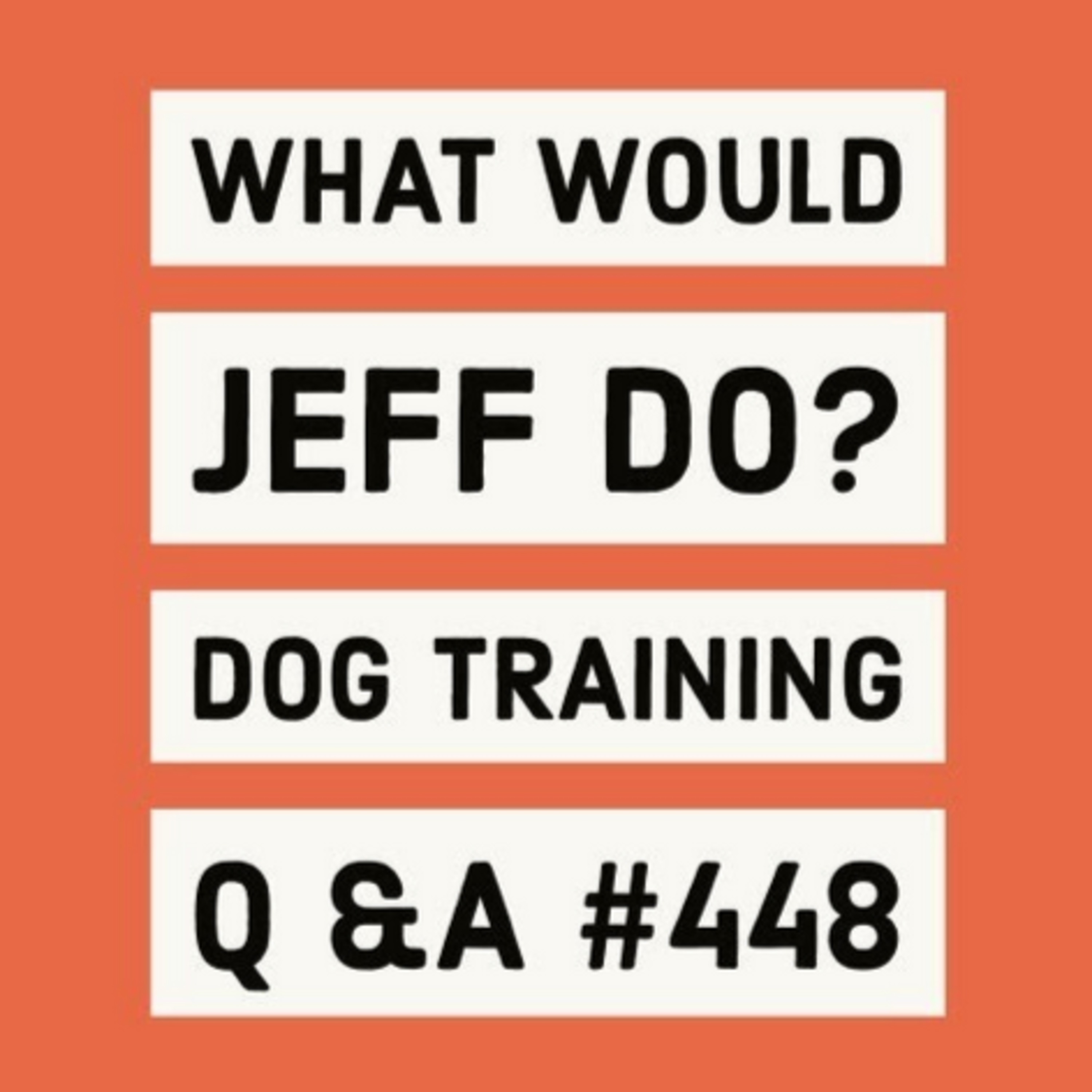 When to muzzle a dog | Dog bites leash on walks | What Would Jeff Do? Dog Training Q & A #448 episode artwork