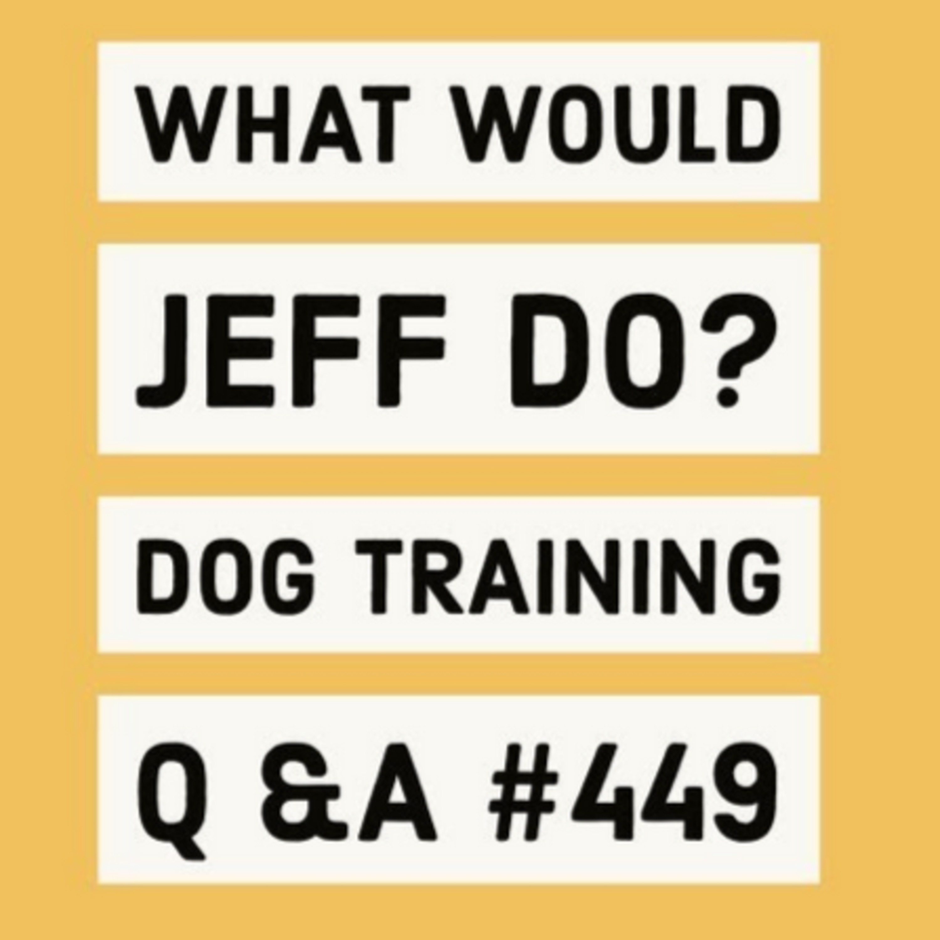 Puppy has separation anxiety | Stop dog digging | What Would Jeff Do? Dog Training Q & A #449 episode artwork