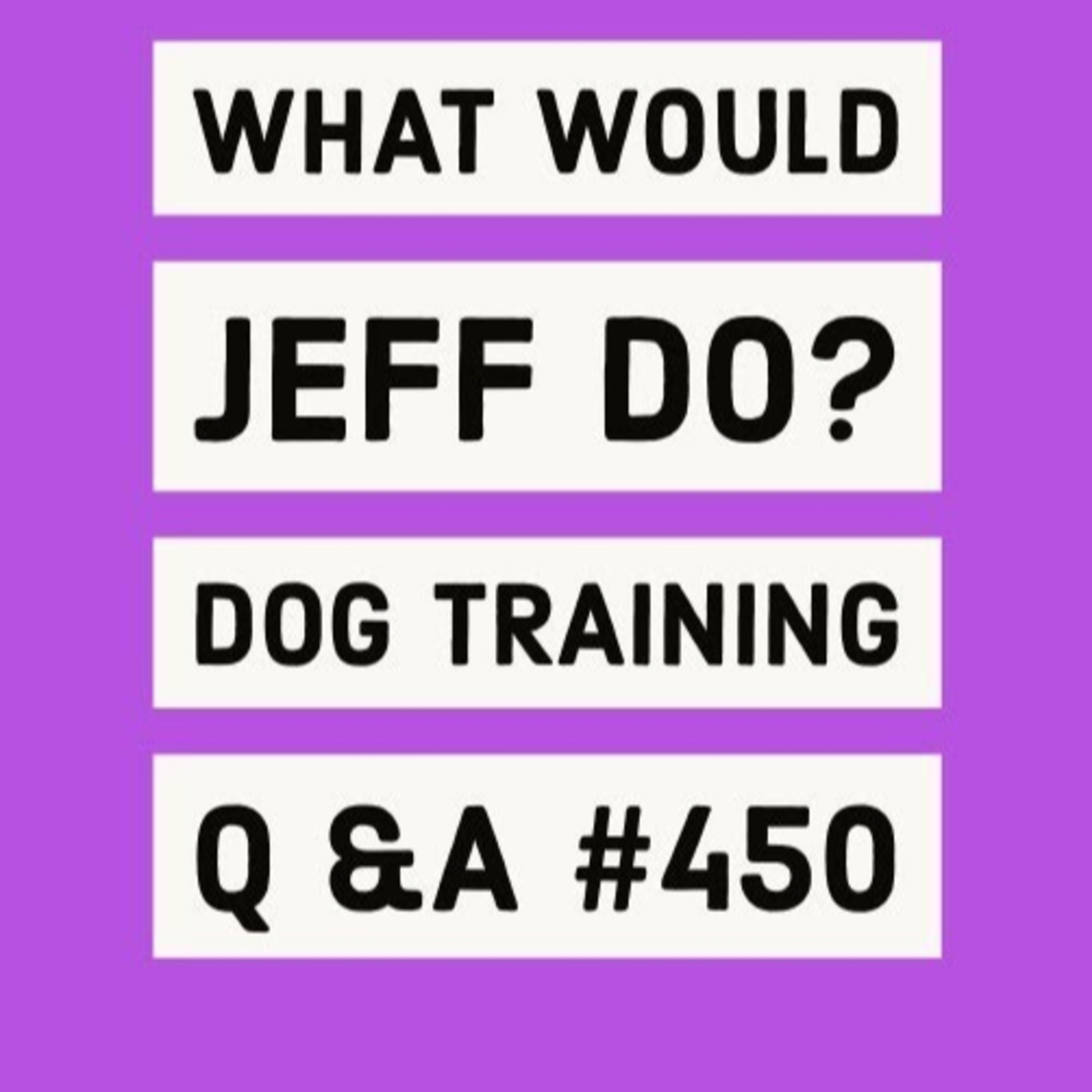 Training a nervous GSD dog | Dog barks in the house | What Would Jeff Do? Dog Training Q & A #450 episode artwork