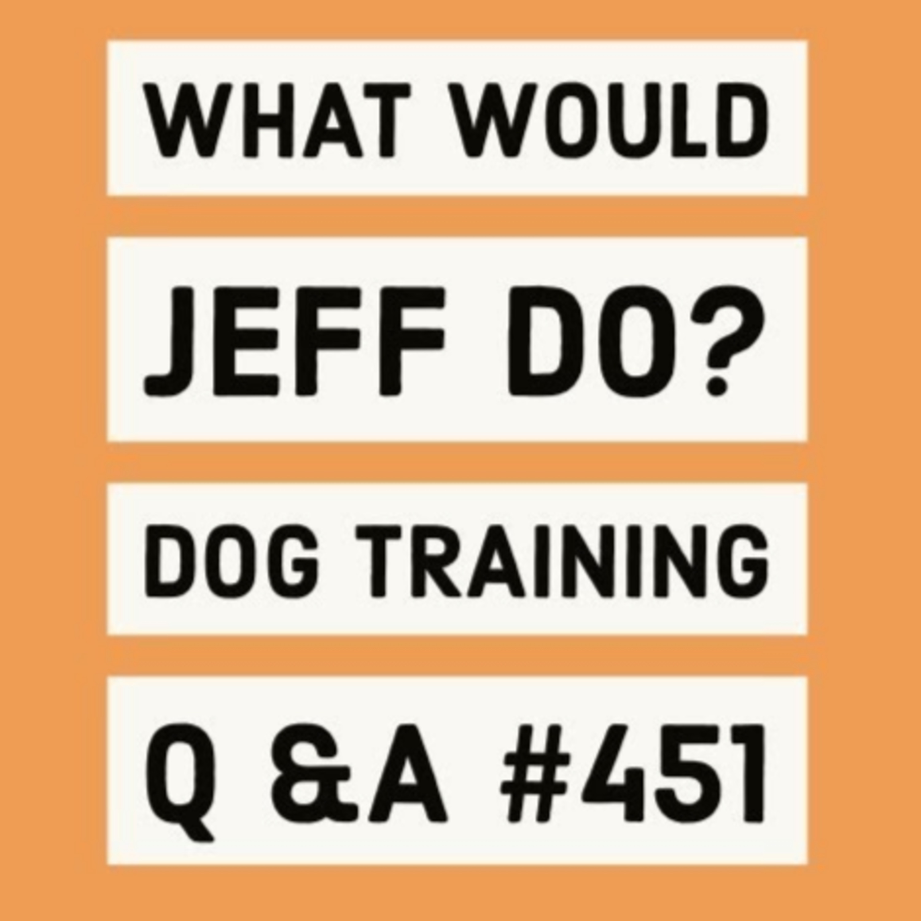 Training a blind deaf dog | Dog pees in the house | What Would Jeff Do? Dog Training Q & A #451 episode artwork