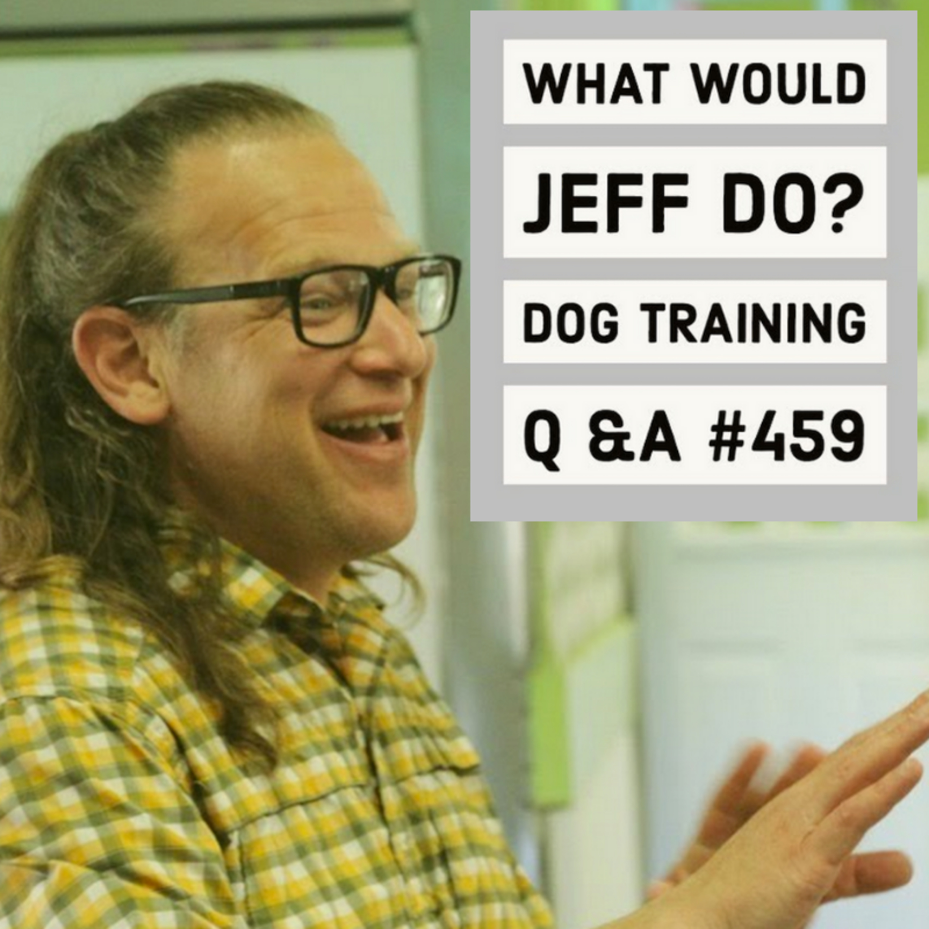 Stop dog barking in crate | Training a fearful dog | What Would Jeff Do? Dog Training Q & A #459 episode artwork