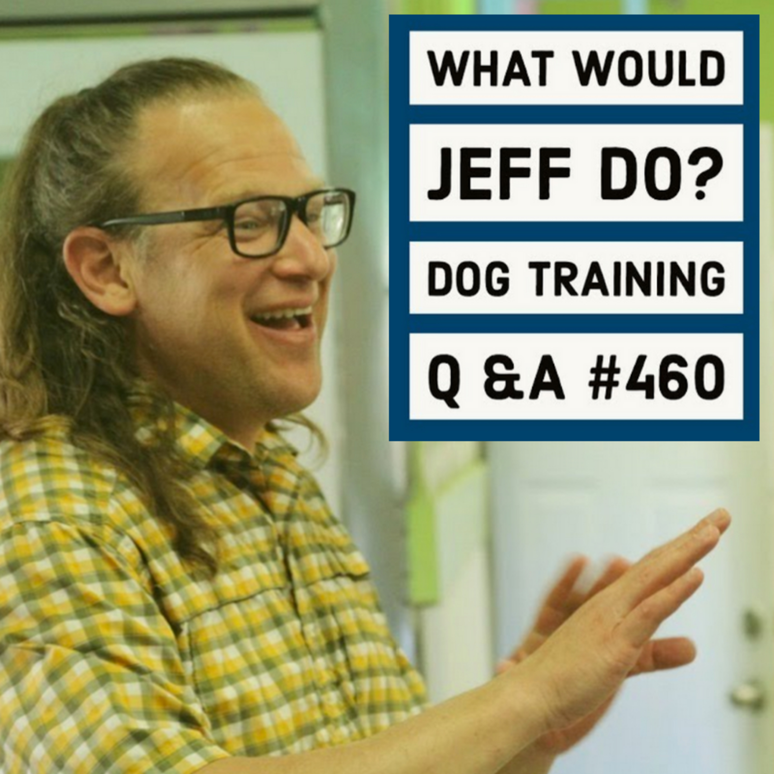 Crate training dogs | Training fearful dogs | What Would Jeff Do? Dog Training Q & A #460 episode artwork