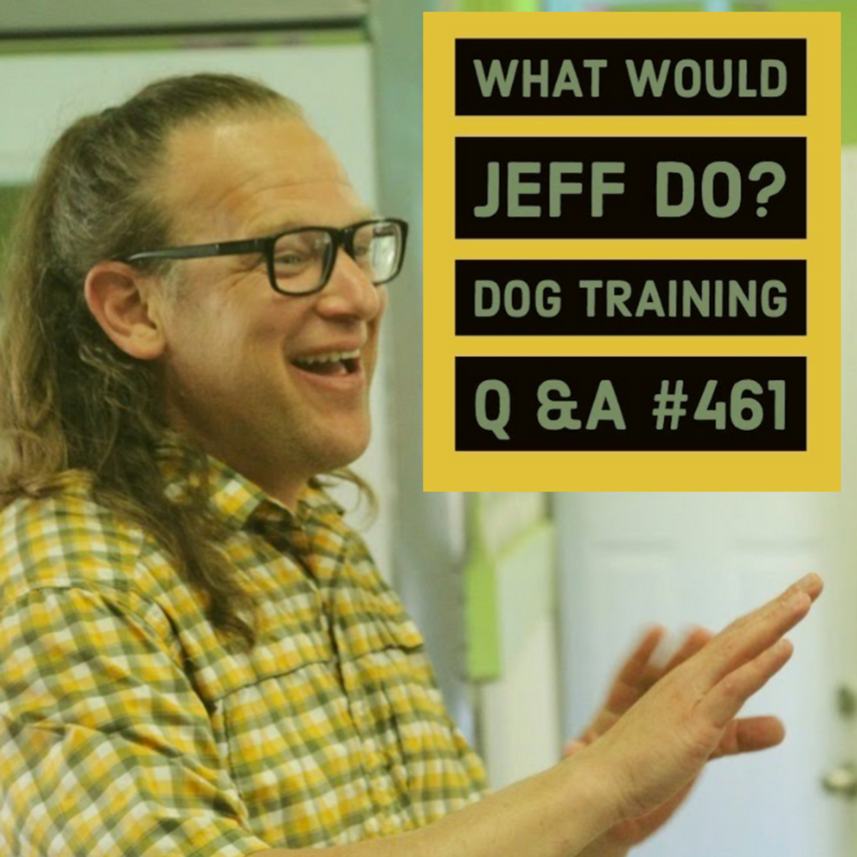 Puppy Training | Dog gets excited around guests | What Would Jeff Do? Dog Training Q & A #461 episode artwork