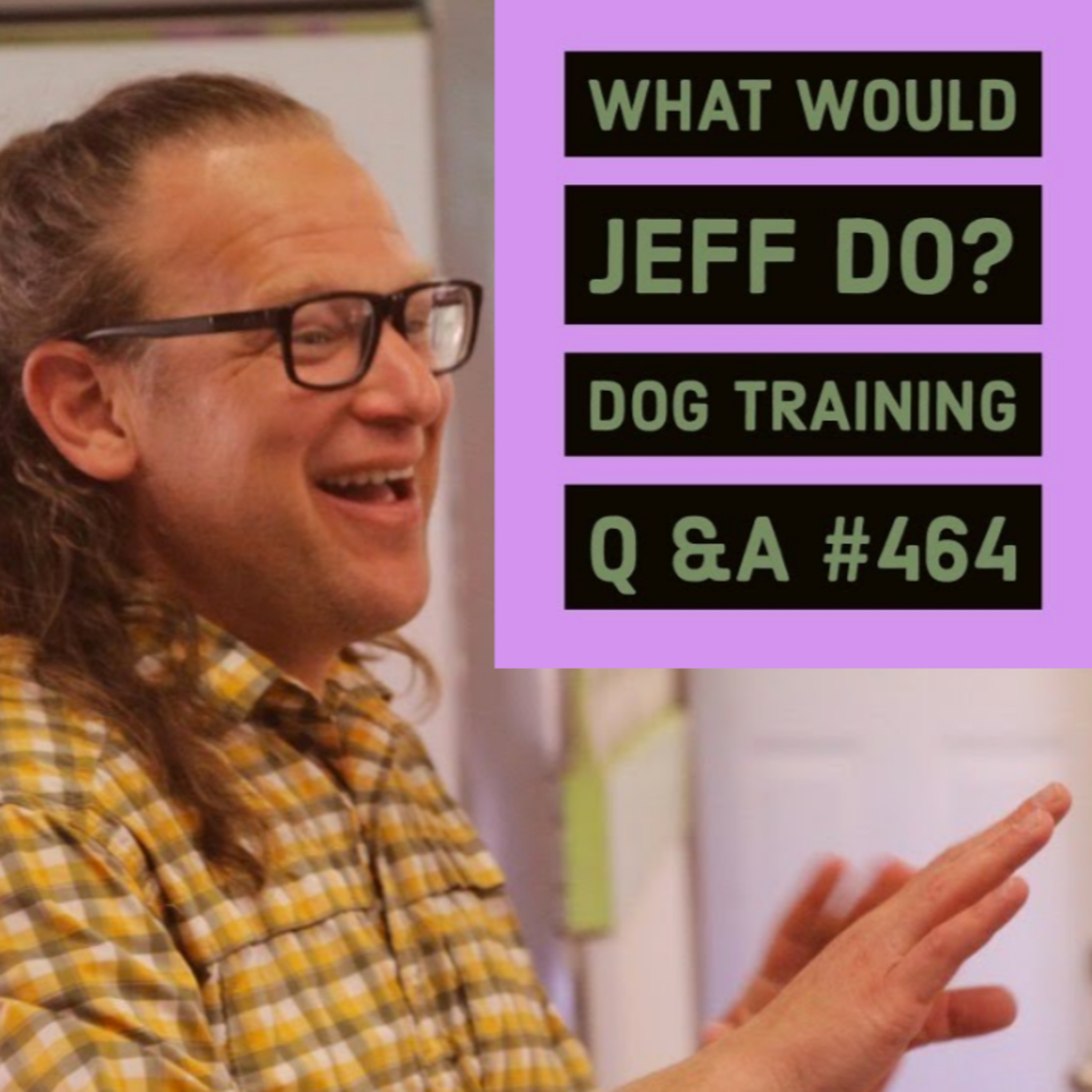 Dog pulls on walks | Stop a dog from howling | What Would Jeff Do? Dog Training Q & A #464 episode artwork