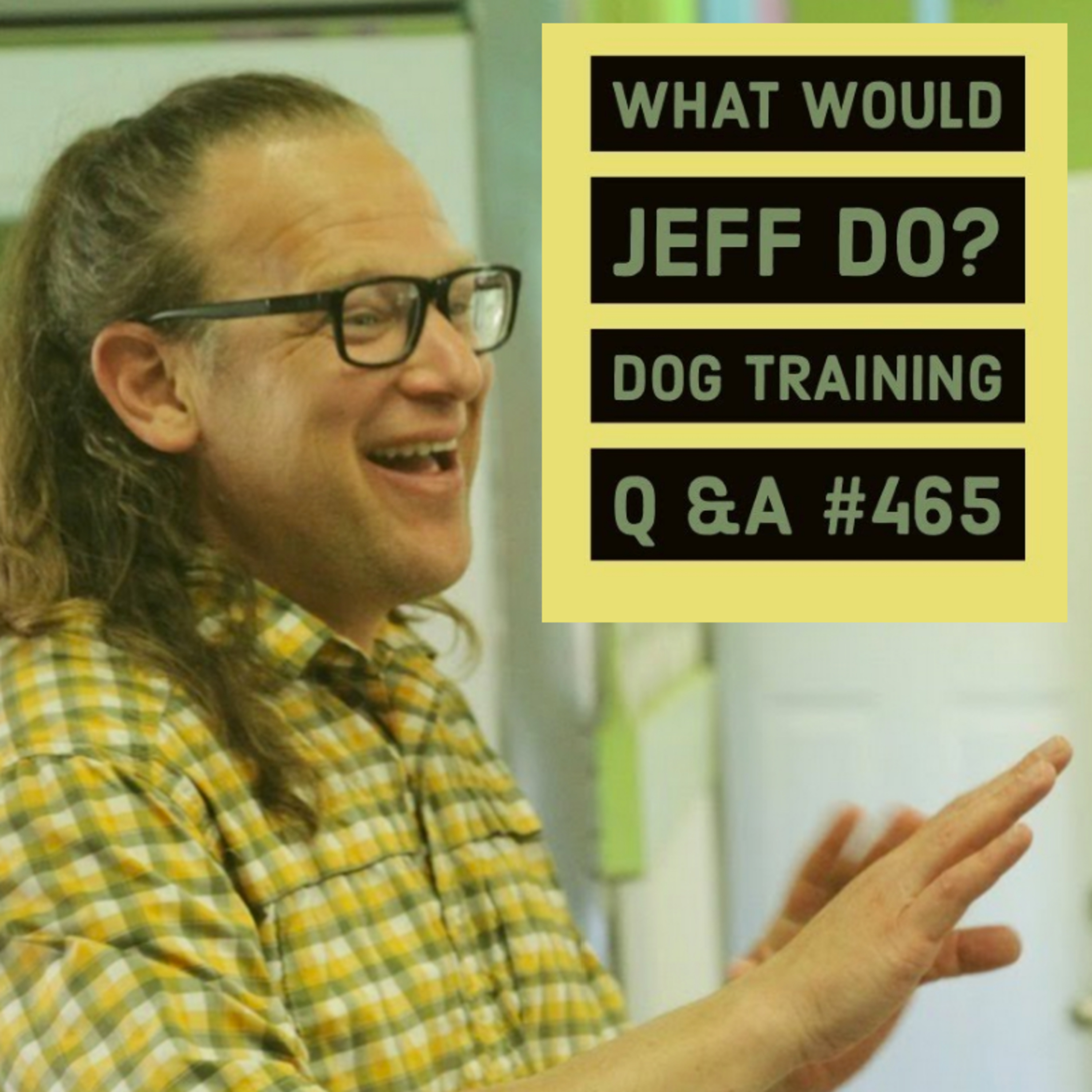 Training aggressive dogs | Stop dogs from jumping | What Would Jeff Do? Dog Training Q & A #465 episode artwork