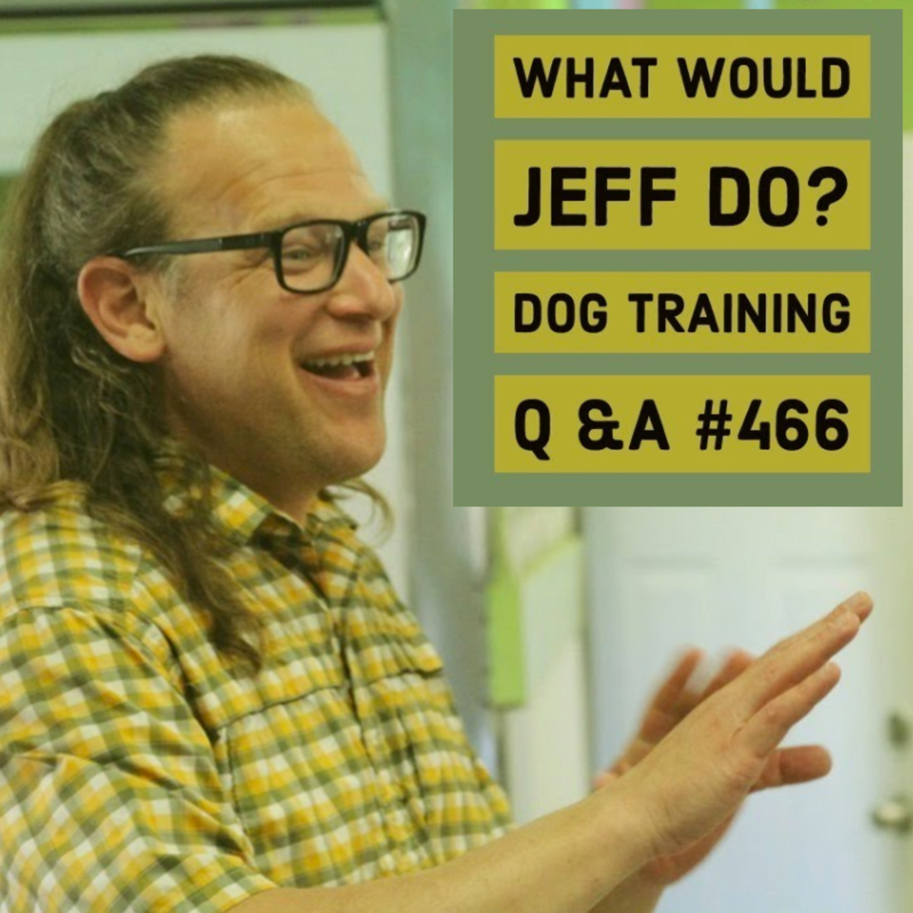 Recall training a distracted dog | Crate training tips | What Would Jeff Do? Dog Training Q & A #466 episode artwork