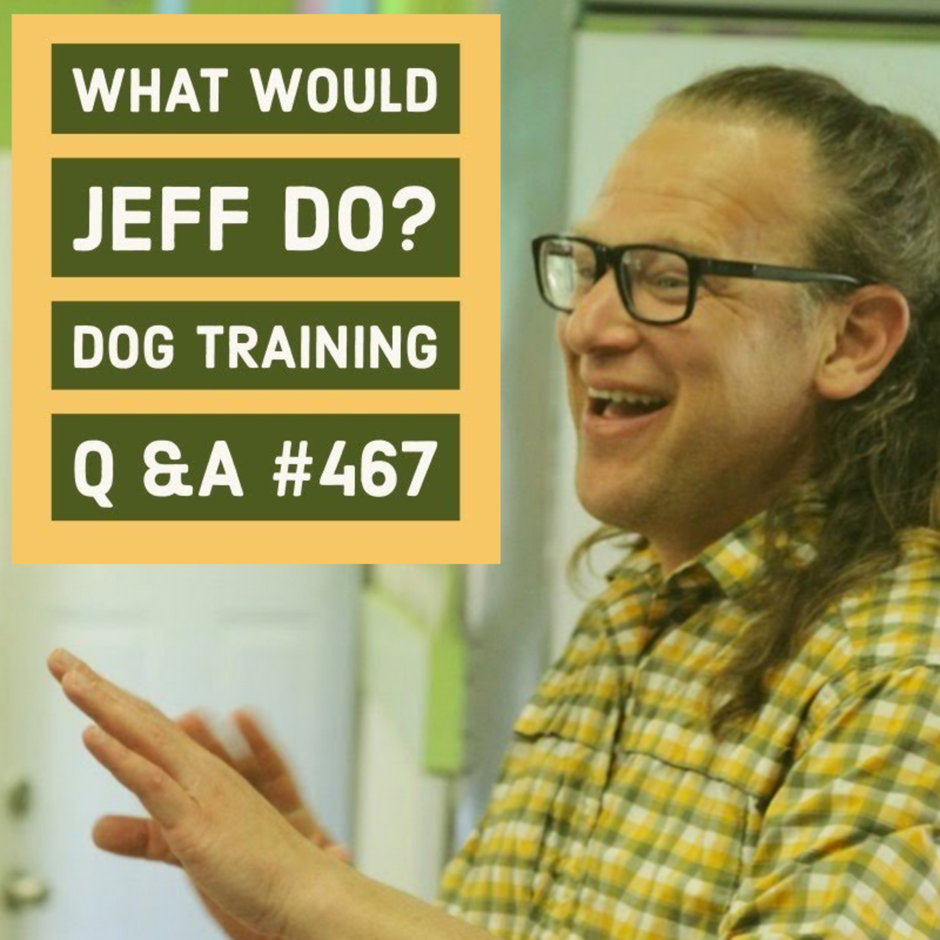 Training fearful dogs | Stop dog bites | What Would Jeff Do? Dog Training Q & A #467 episode artwork
