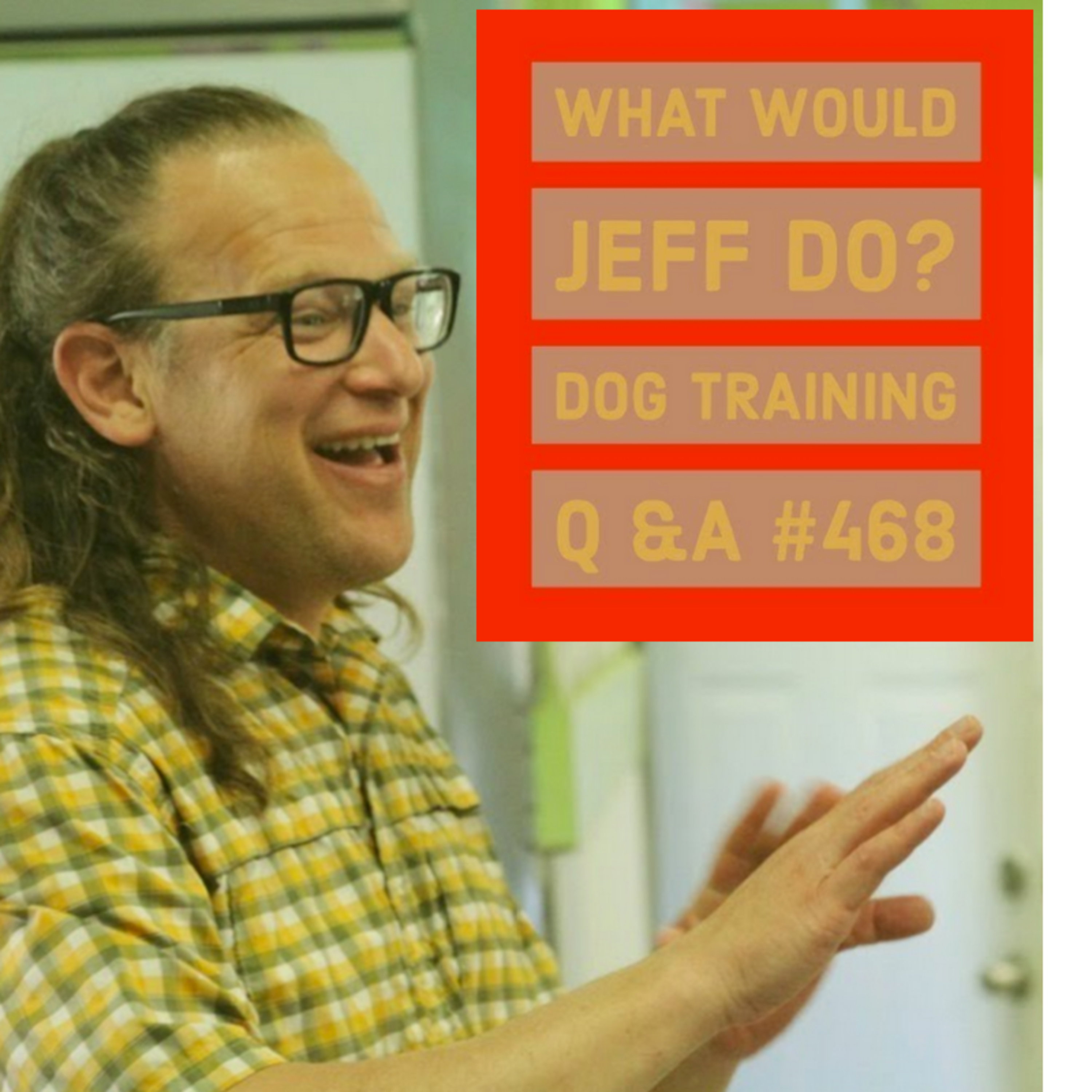 Dog reactive dogs | Stop puppy biting | What Would Jeff Do? Dog Training Q & A #468 episode artwork