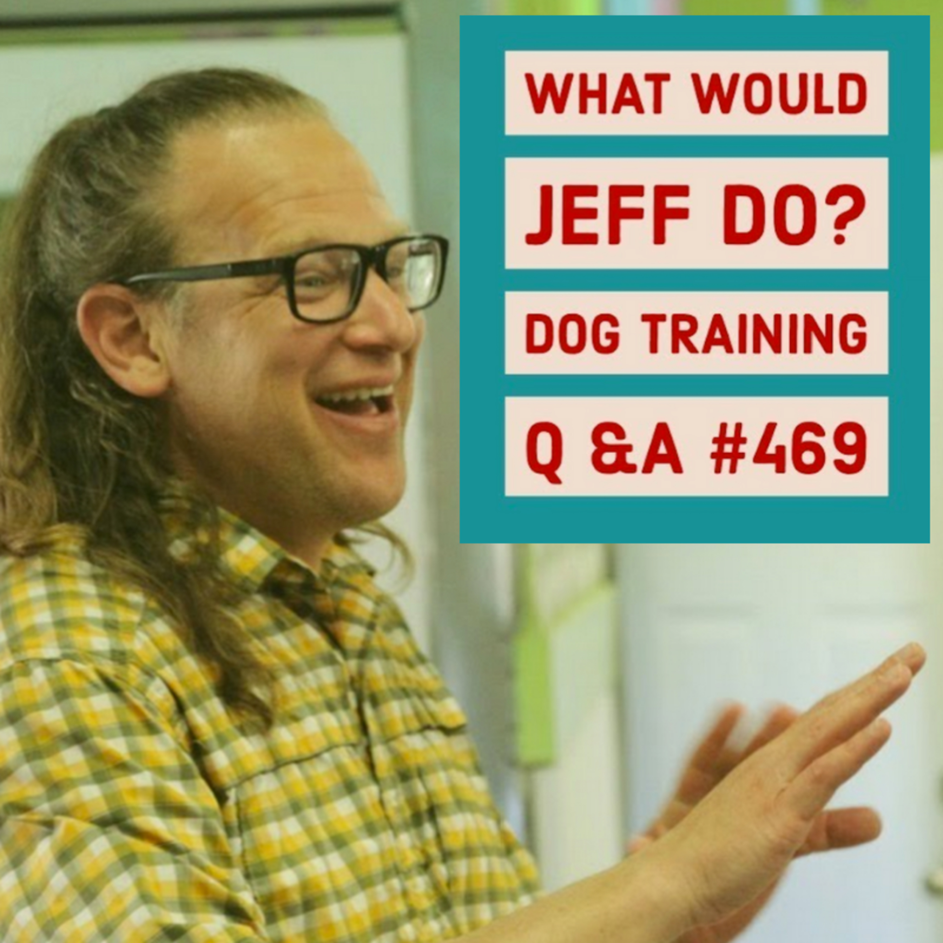 Dog Resource Guarding | Dogs and Fear Aggression | What Would Jeff Do? Dog Training Q & A #469 episode artwork