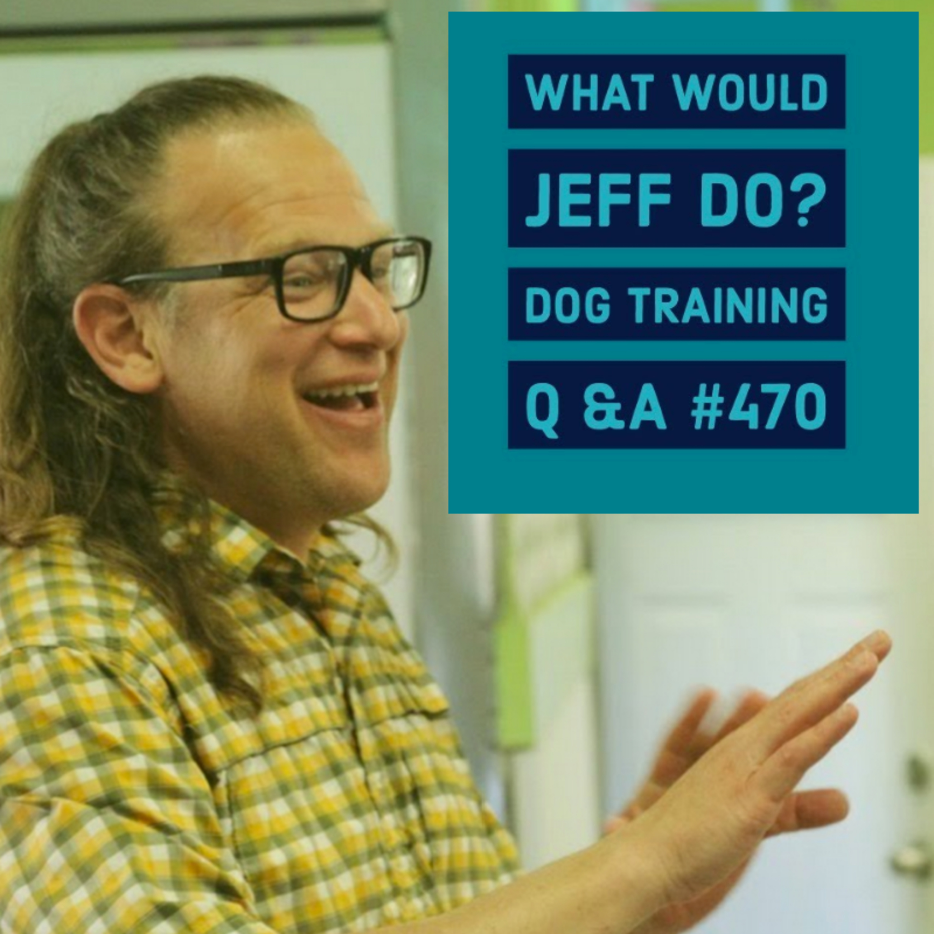 Dog reactive dogs | Structured dog walks | What Would Jeff Do? Dog Training Q & A #470 episode artwork
