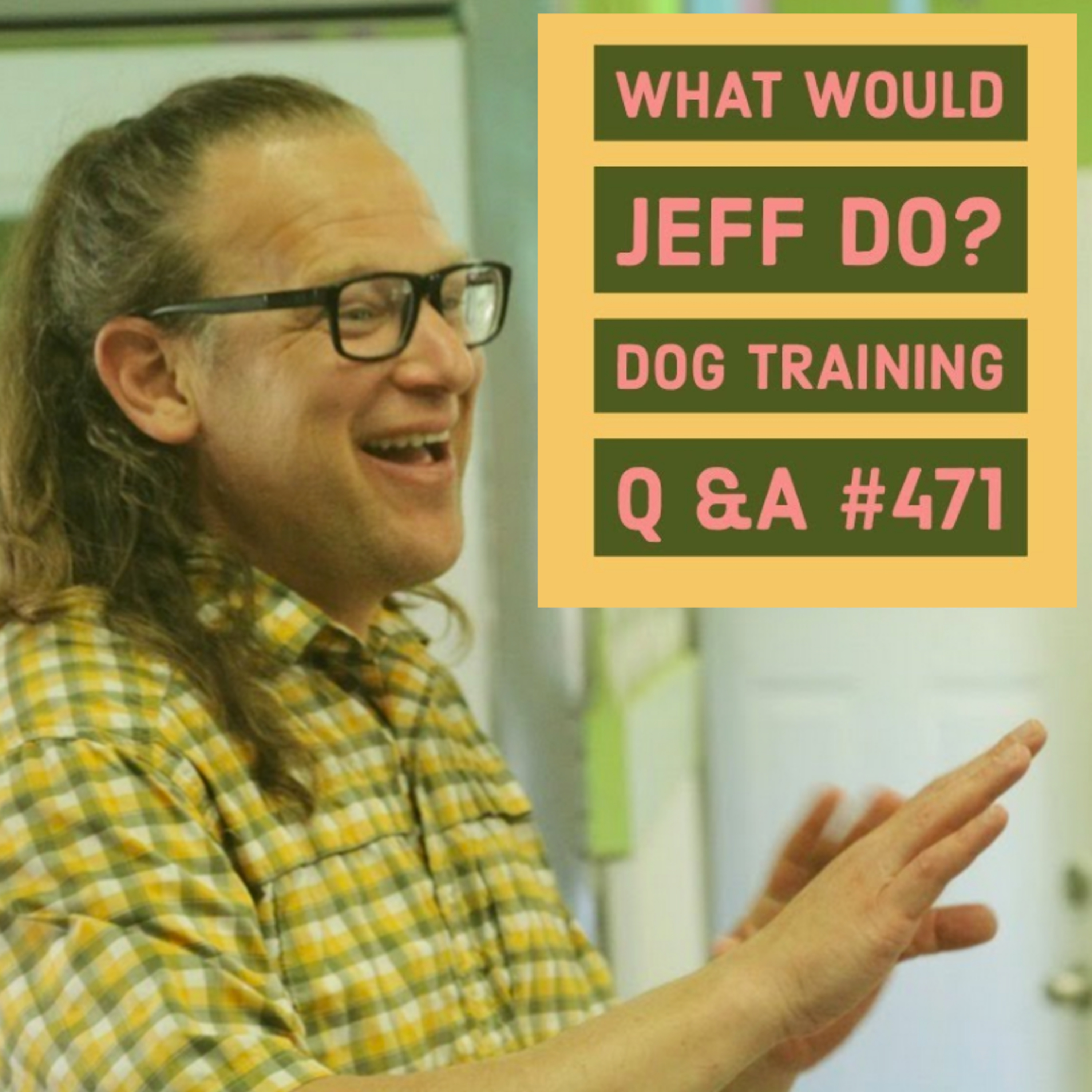 Stop dog bites | Dogs and separation anxiety | What Would Jeff Do? Dog Training Q & A #471 episode artwork