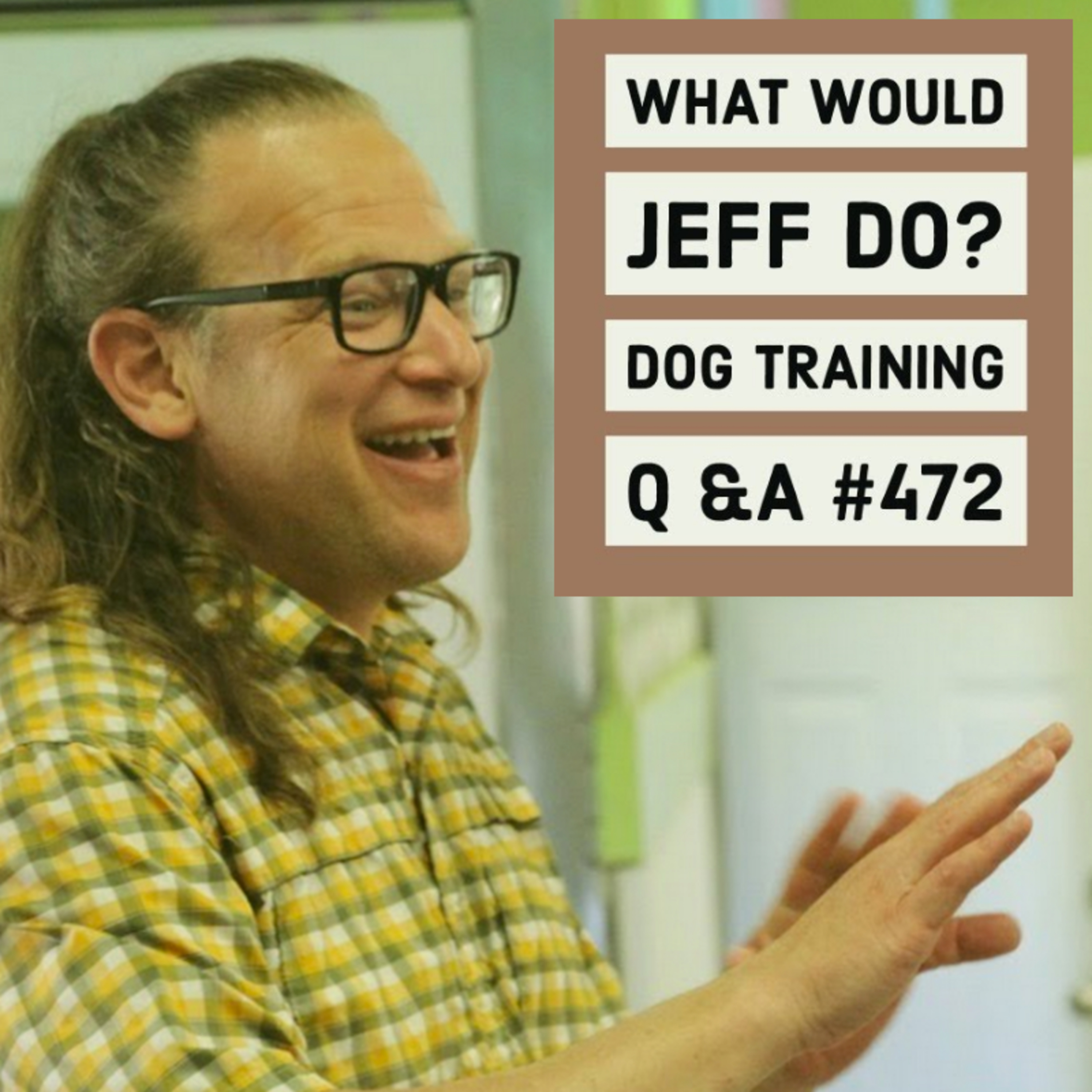 Dog training walk tips | Dog shakes in crate | What Would Jeff Do? Dog Training Q & A #472 episode artwork