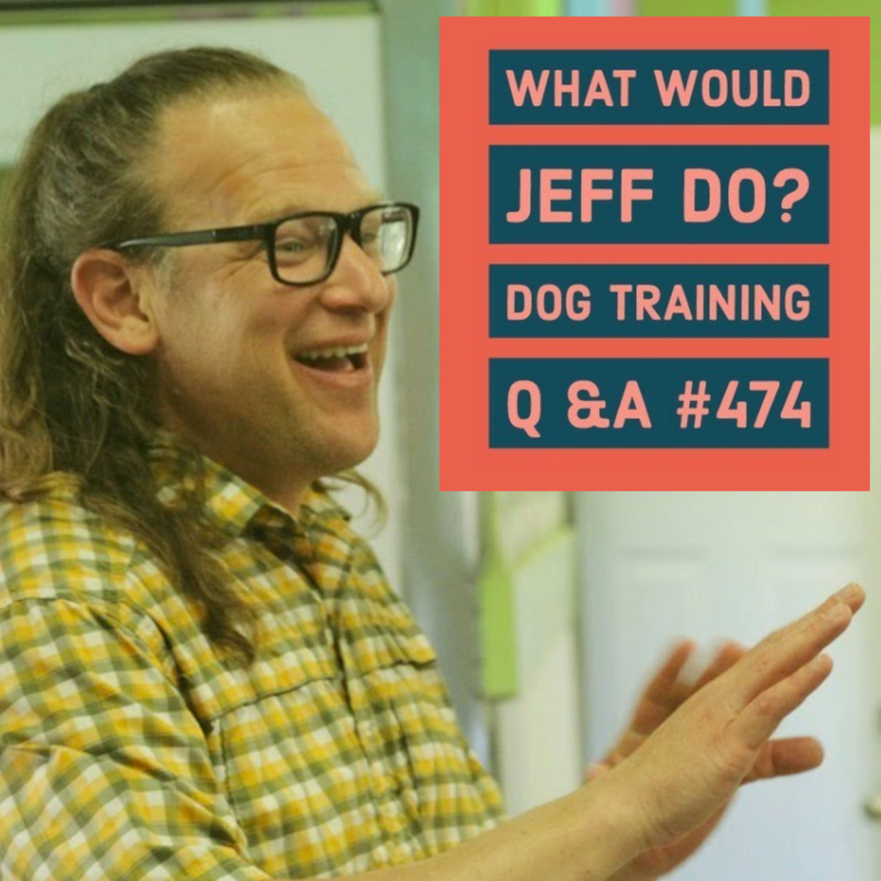 Dogs and separation anxiety | Structured dog walks | What Would Jeff Do? Dog Training Q & A #474 episode artwork