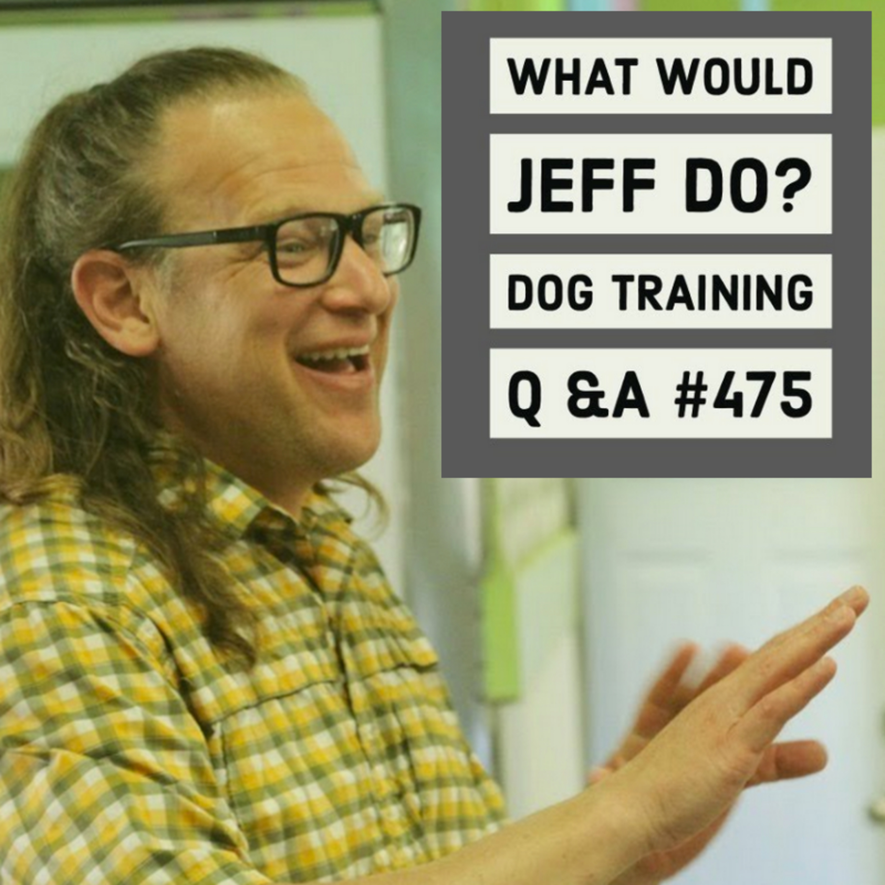 Dogs and Free Roaming | Leash reactive Dogs | What Would Jeff Do? Dog Training Q & A #475 episode artwork
