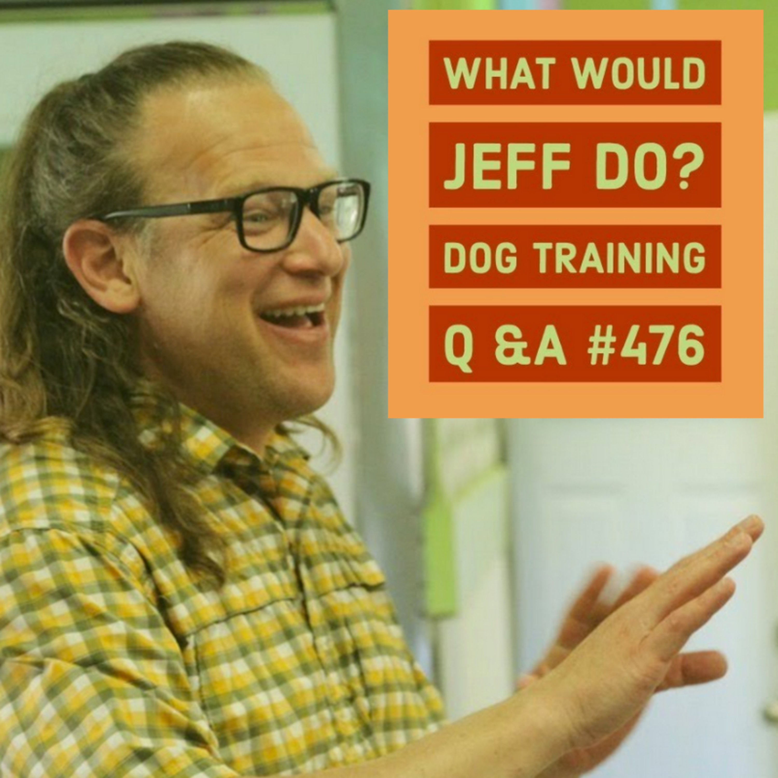 Puppy biting | Stop lunging Dogs | What Would Jeff Do? Dog Training Q & A #476 episode artwork