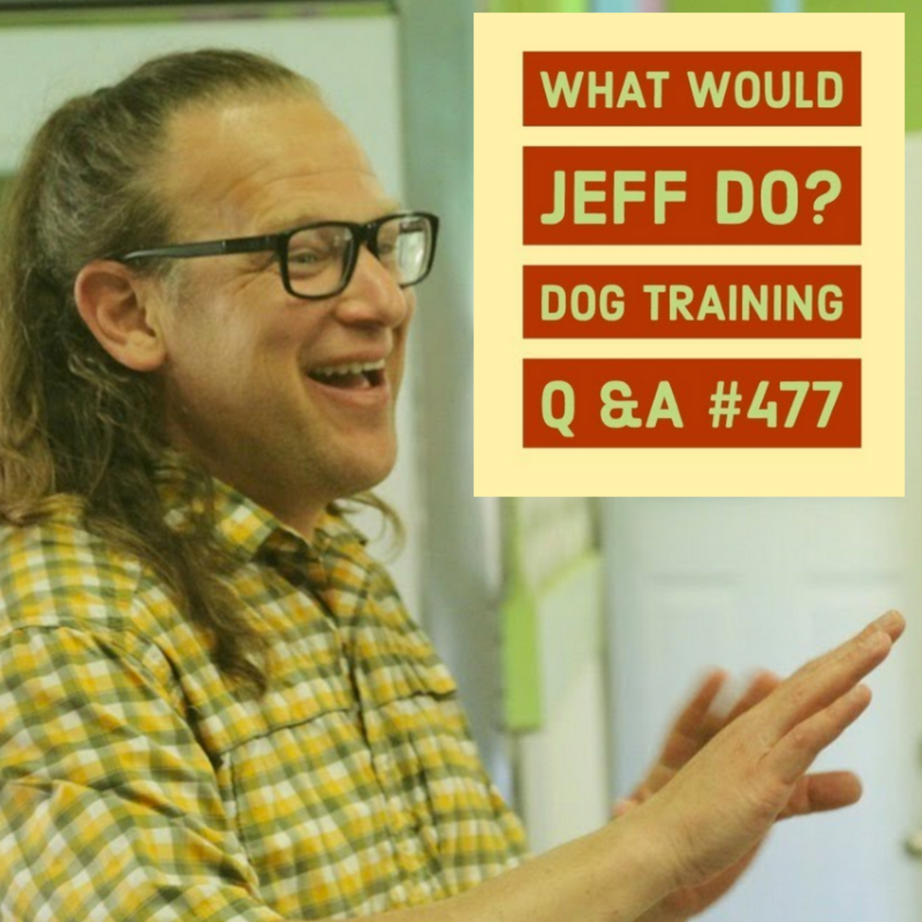 Training a dog recall | Over-excited dogs | What Would Jeff Do? Dog Training Q & A #477 episode artwork
