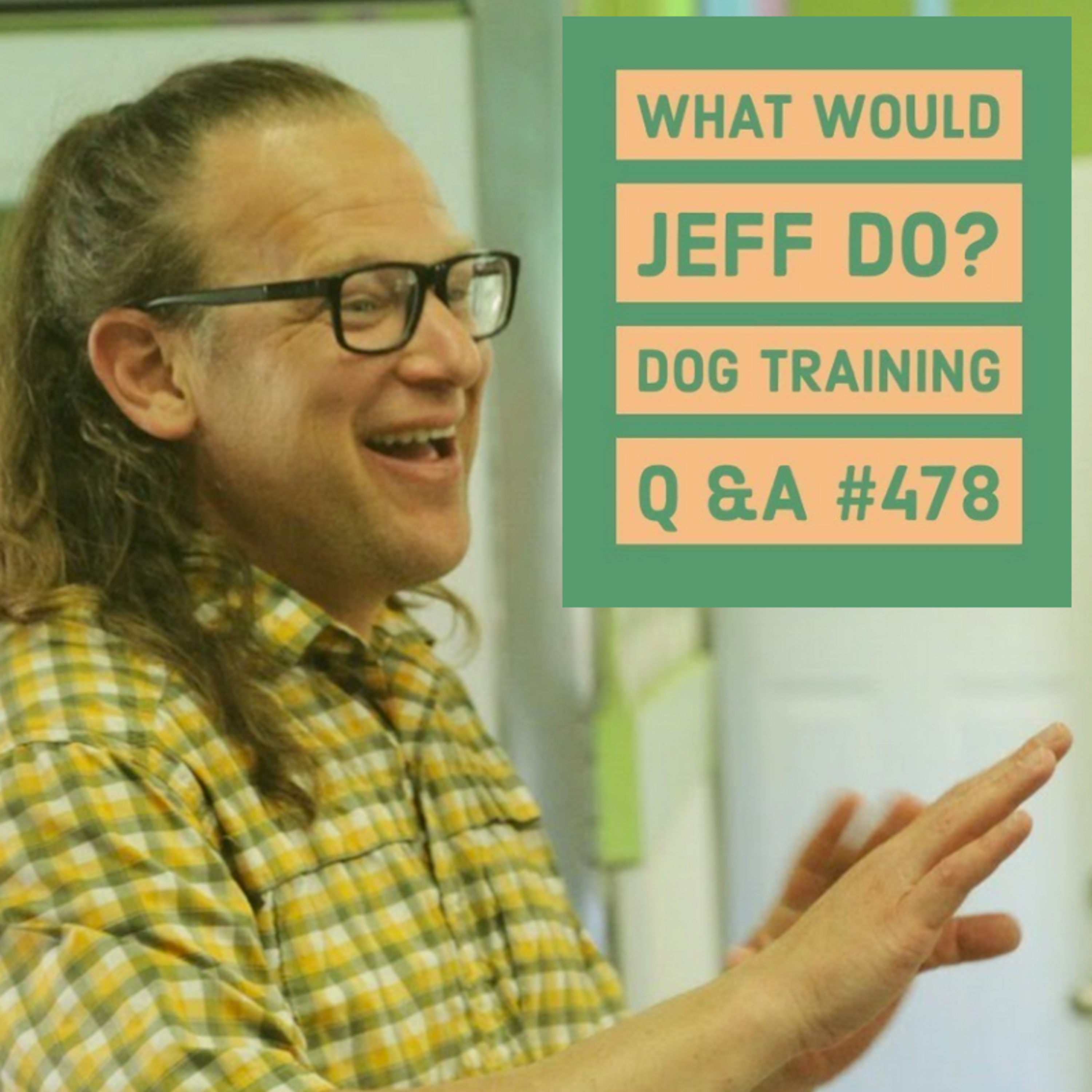 Dog whining | Counter surfing dogs | What Would Jeff Do? Dog Training Q & A #478 episode artwork