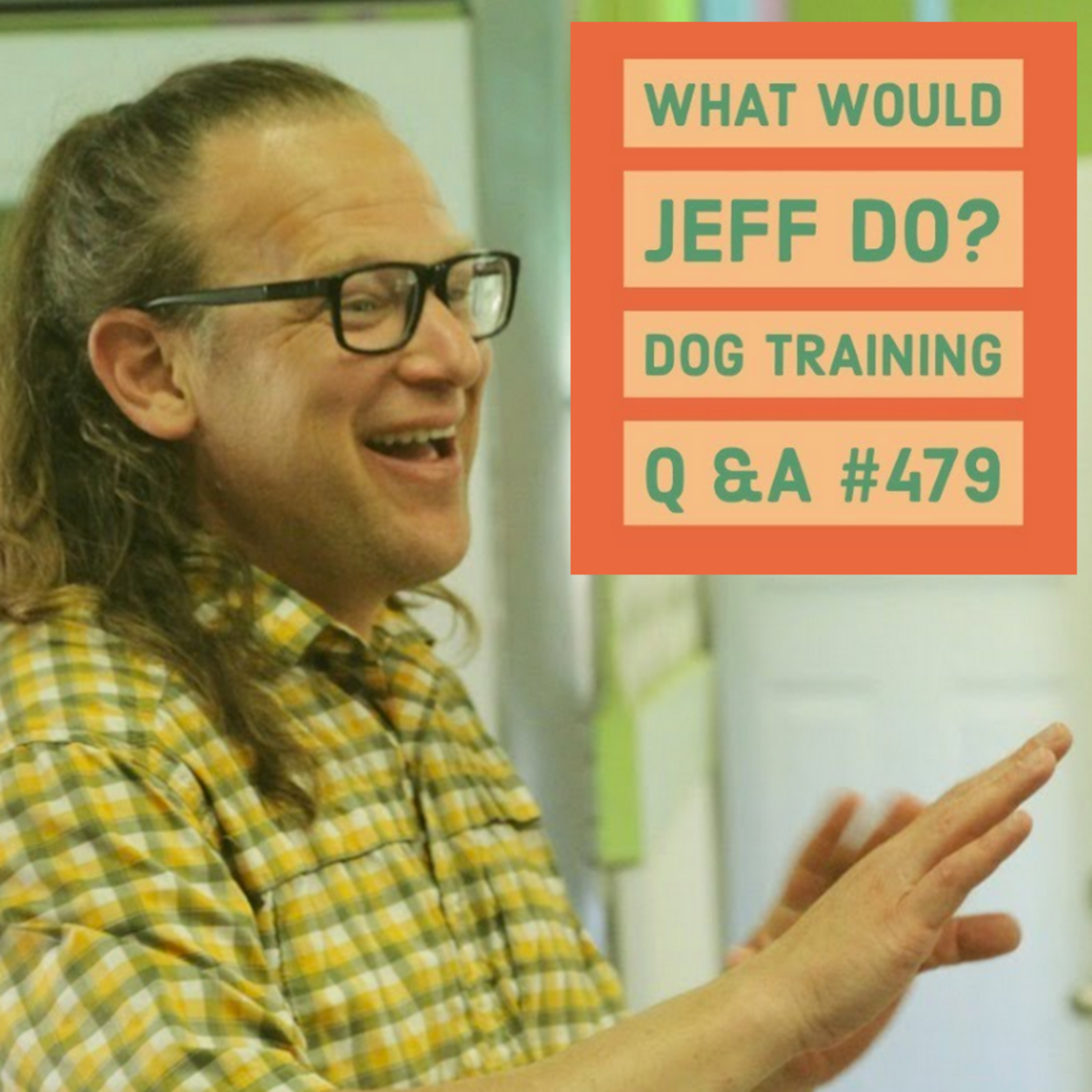 Stop dog mouthing | Banned Dog Training tools |  What Would Jeff Do? Dog Training Q & A #479 episode artwork