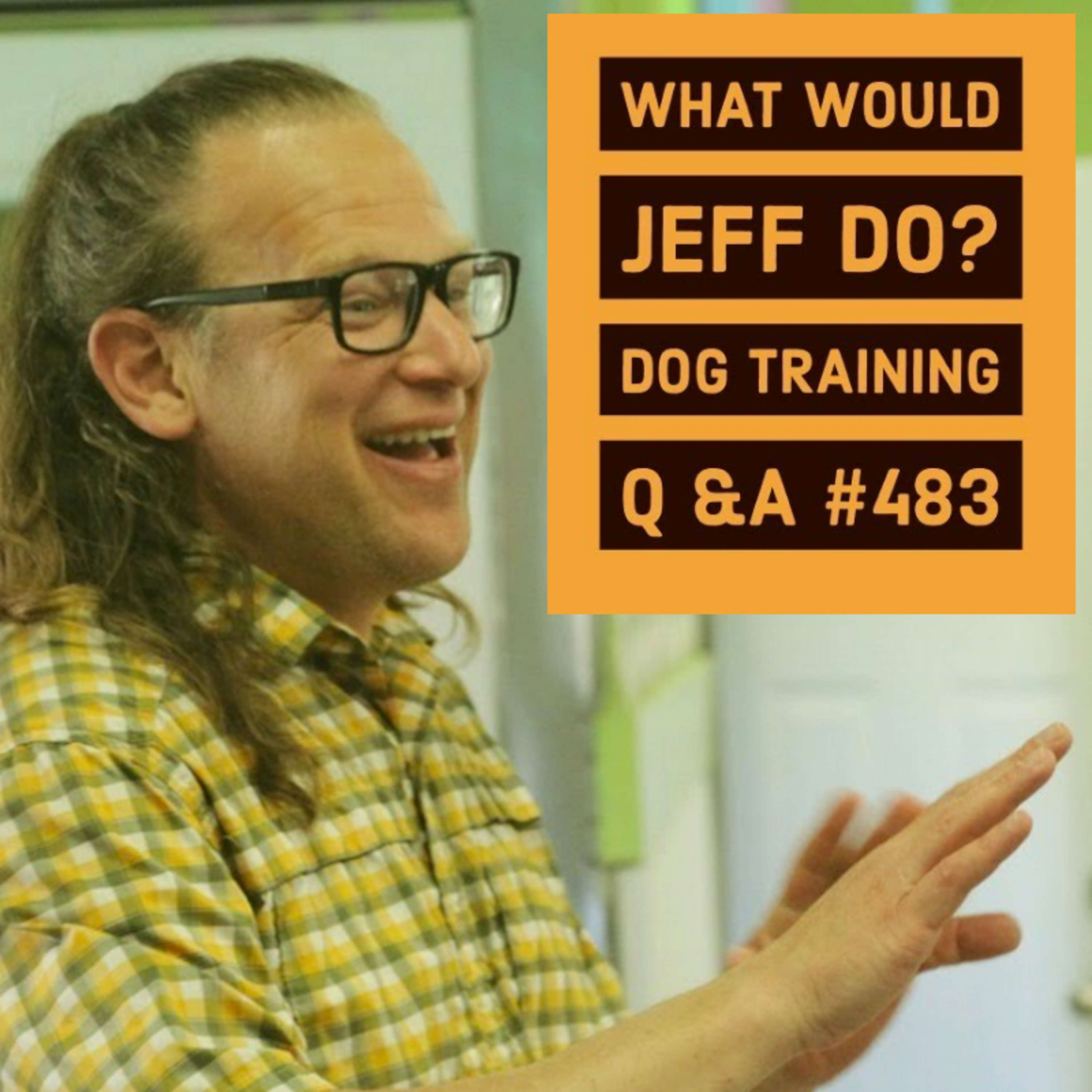 Stop dog barking | Anxious dog training tips | What Would Jeff Do? Dog Training Q & A #483 episode artwork