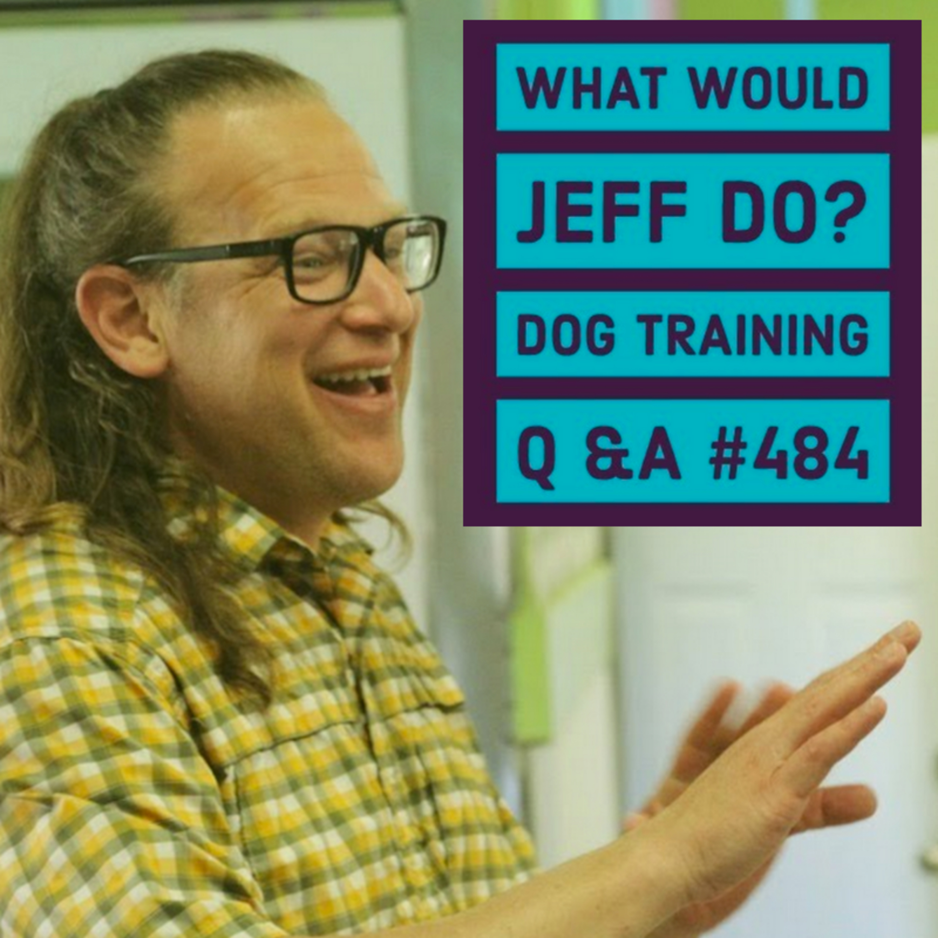 Dog rushes doors | Stop Dog fights | What Would Jeff Do? Dog Training Q & A #484 episode artwork