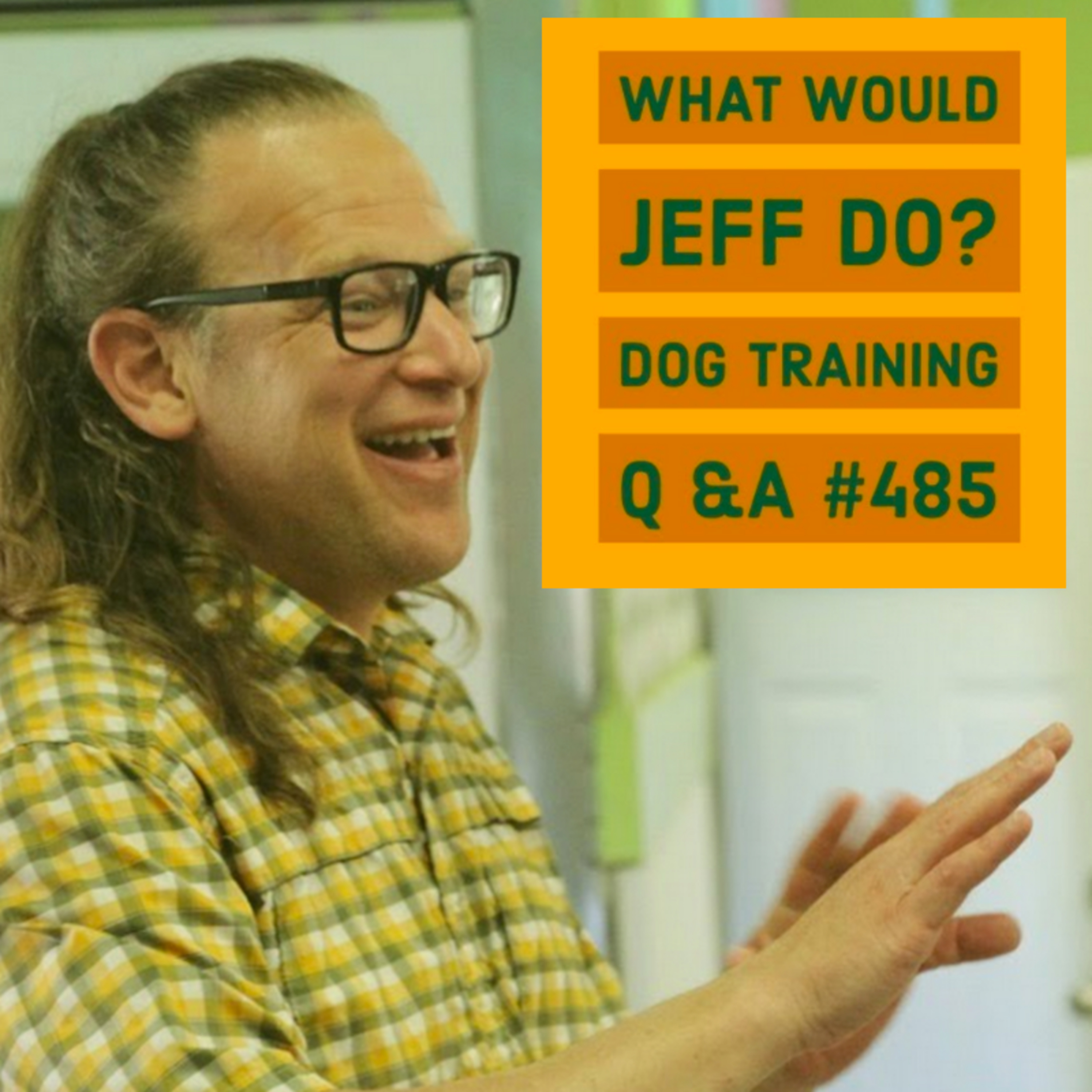 Stop dog barking | Dog rushes fence | What Would Jeff Do? Dog Training Q & A #485 episode artwork