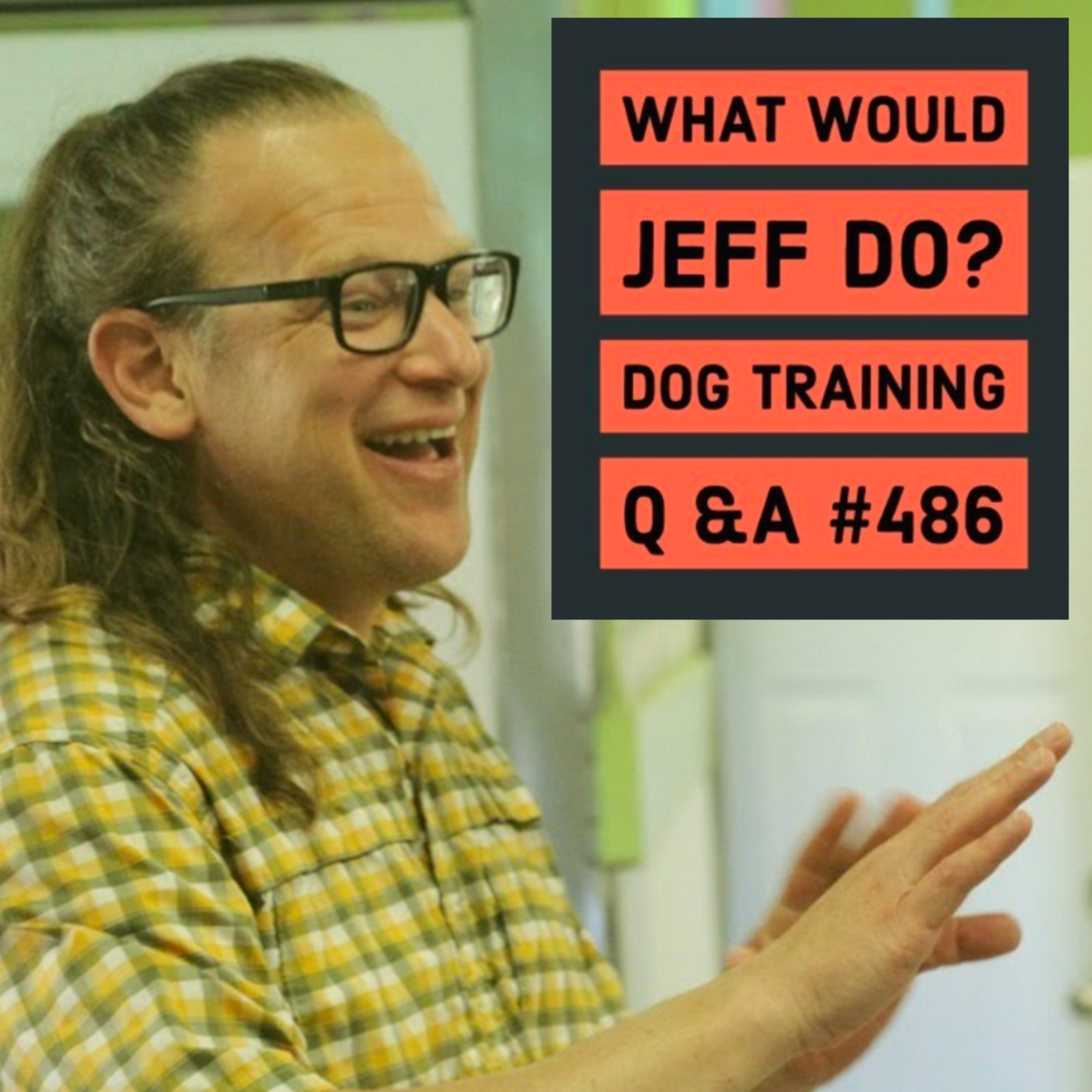 Stop a dog that barks | Bark Collar suggestions | What Would Jeff Do? Dog Training Q & A #486 episode artwork