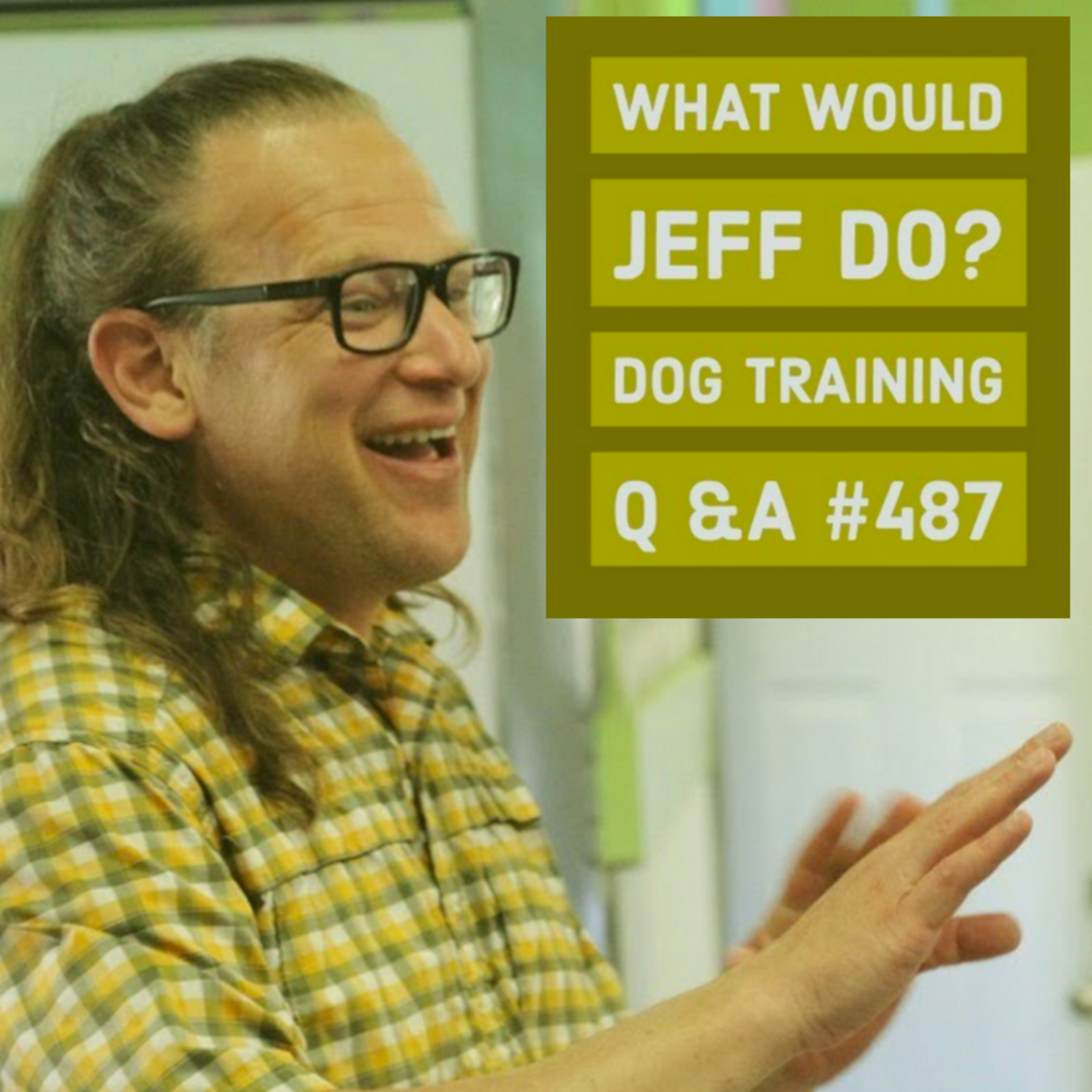 Adopting a Dog | Calm Down an Excited Dog | What Would Jeff Do? Dog Training Q & A #487 episode artwork