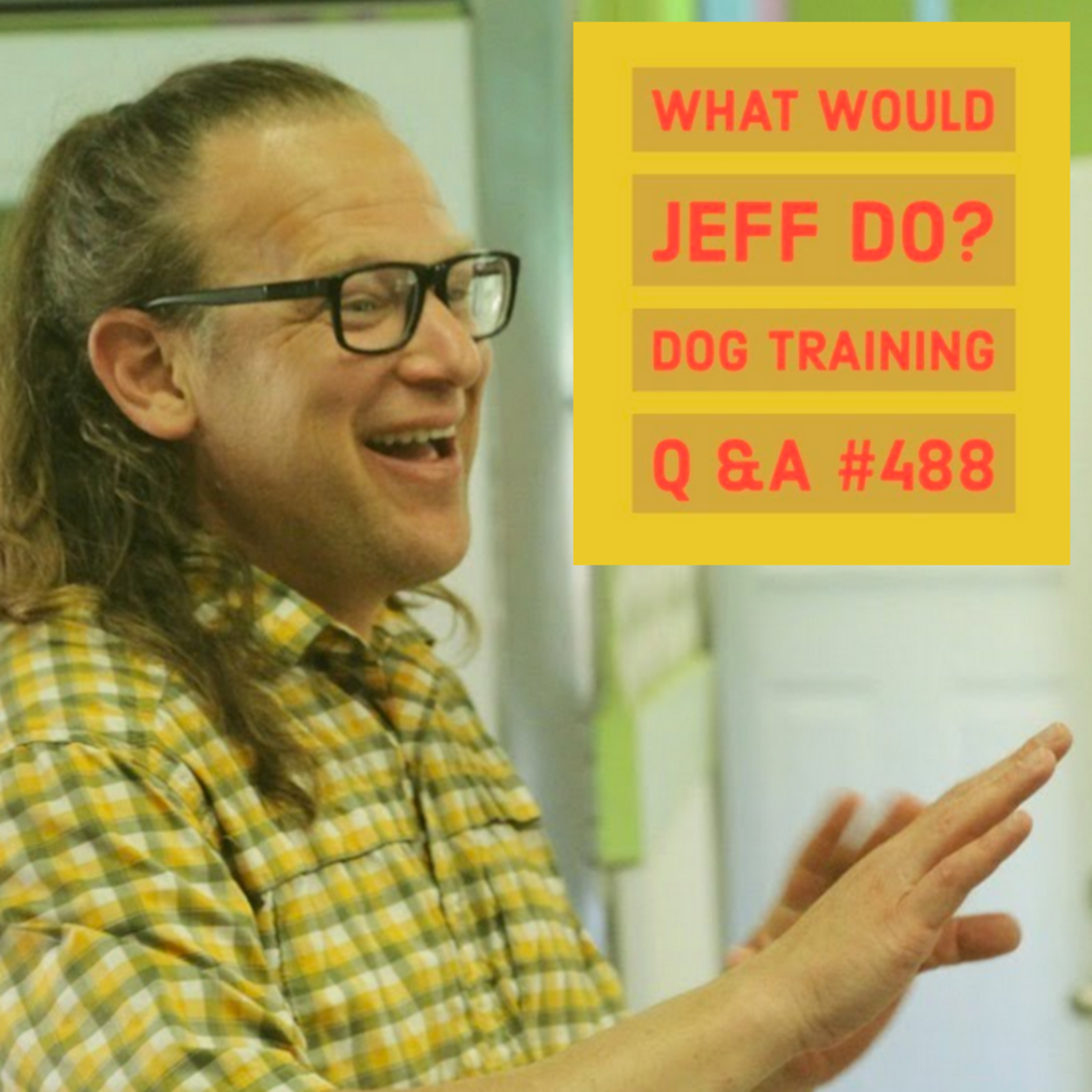 Nervous dog training | Dog tries to Escape the Crate | What Would Jeff Do? Dog Training Q & A #488 episode artwork
