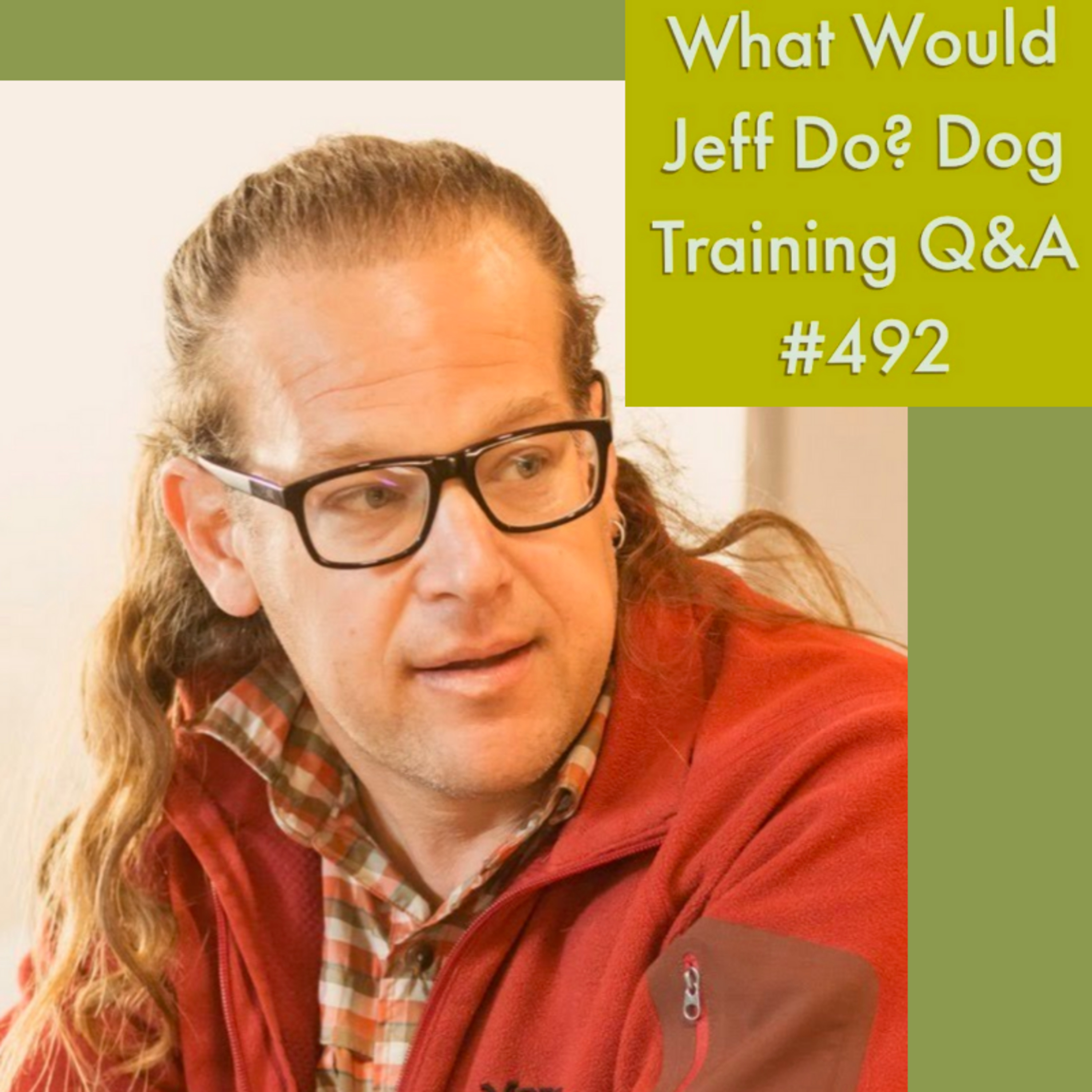 Socialize puppies with other dogs | Stop dog Whining | What Would Jeff Do? Dog Training Q & A #492 episode artwork