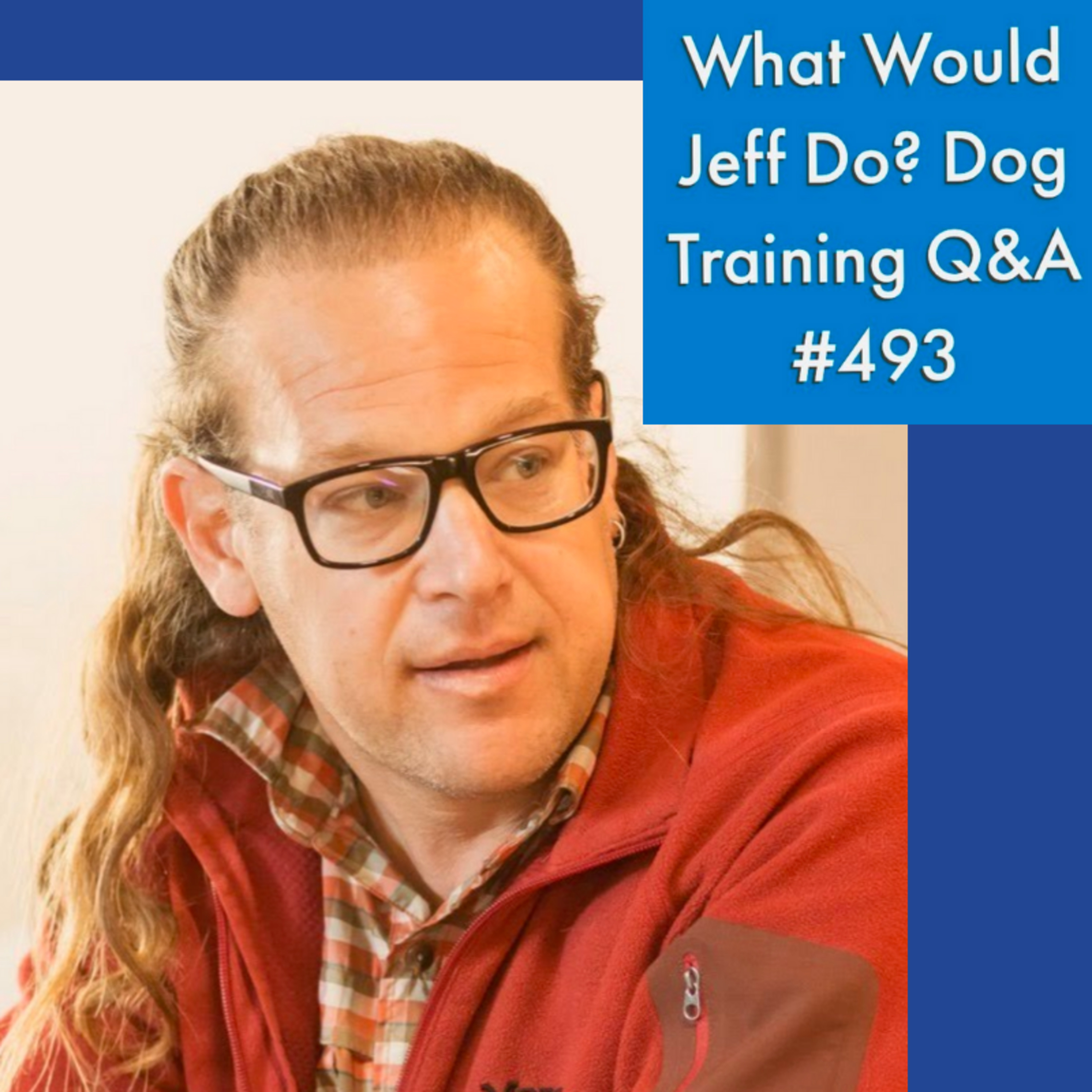 Crate training dogs | Dogs with Separation Anxiety | What Would Jeff Do? Dog Training Q & A #493 episode artwork