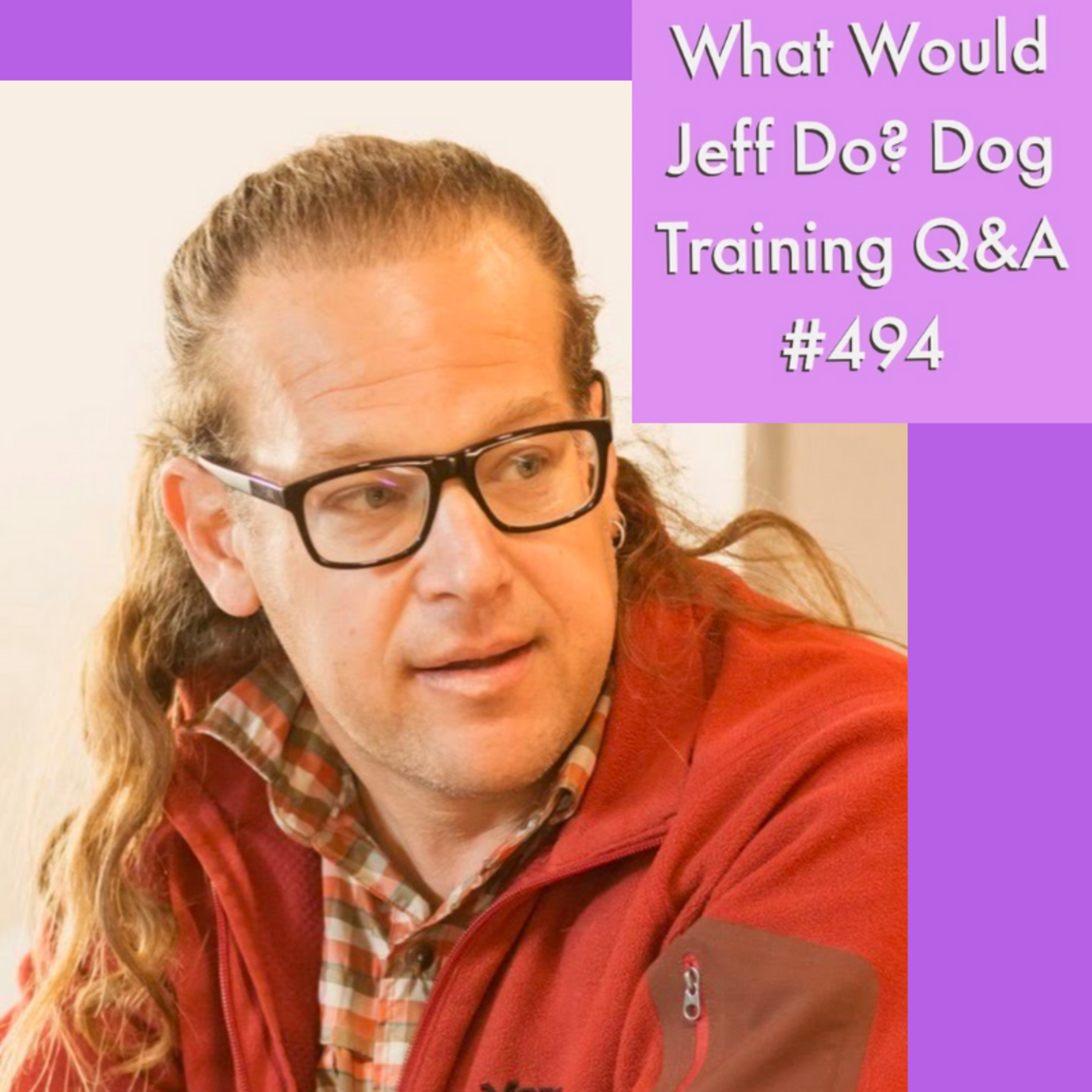 Stop dog growling | Training nervous dog | What Would Jeff Do? Dog Training Q & A #494 episode artwork