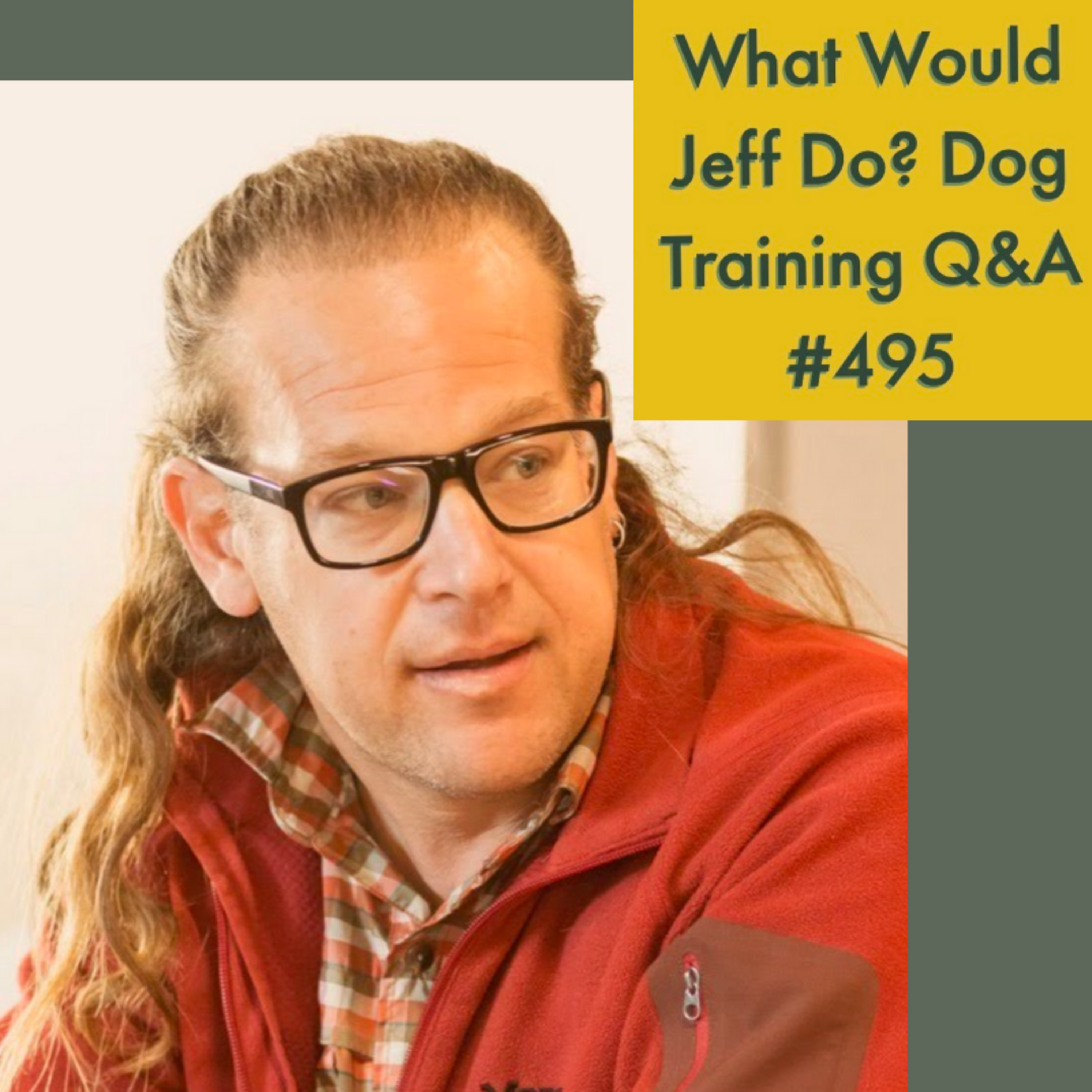 Crating a dog | Train a dog to heel | What Would Jeff Do? Dog Training Q & A #495 episode artwork
