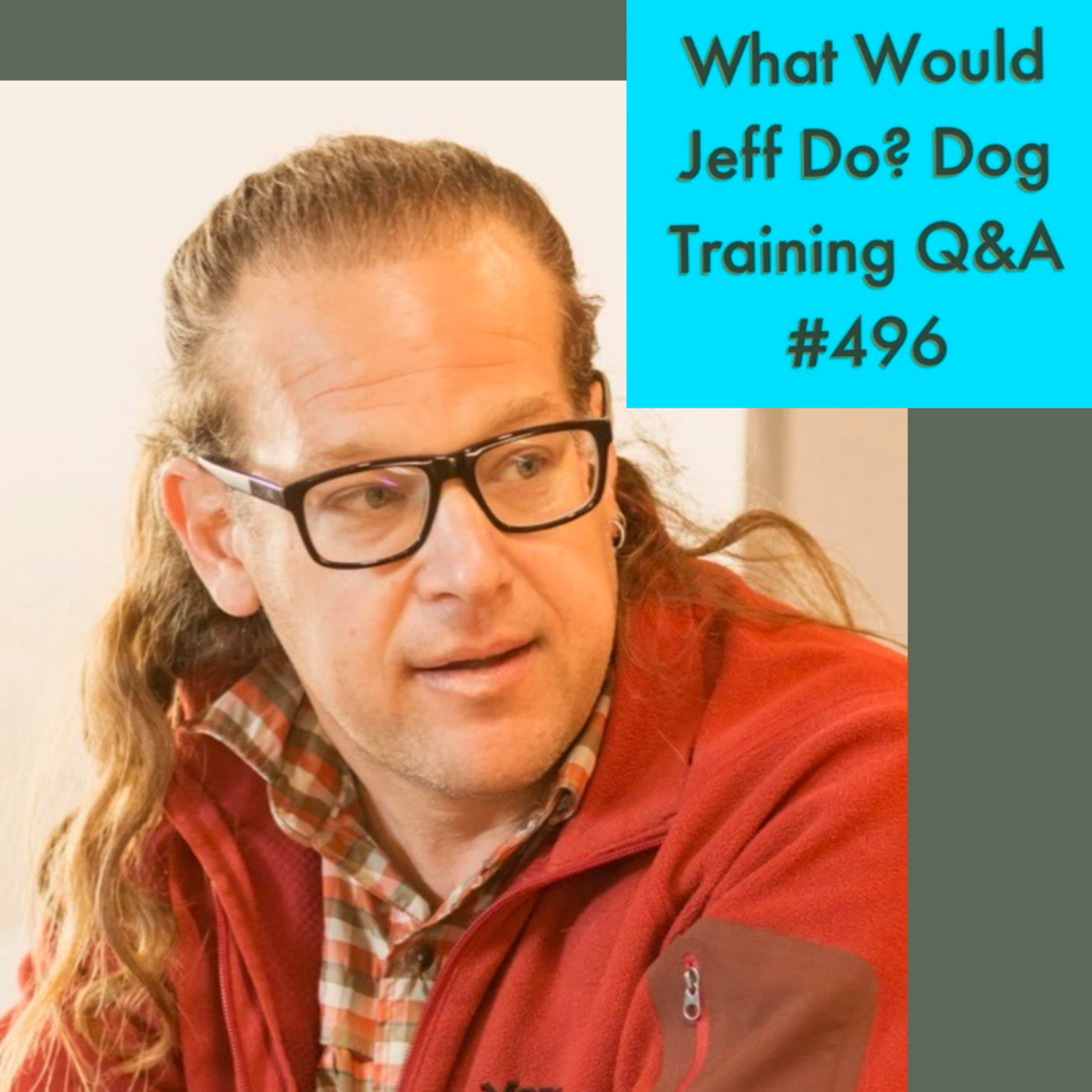 Getting a puppy | Dog growls when eating | What Would Jeff Do? Dog Training Q & A #496 episode artwork