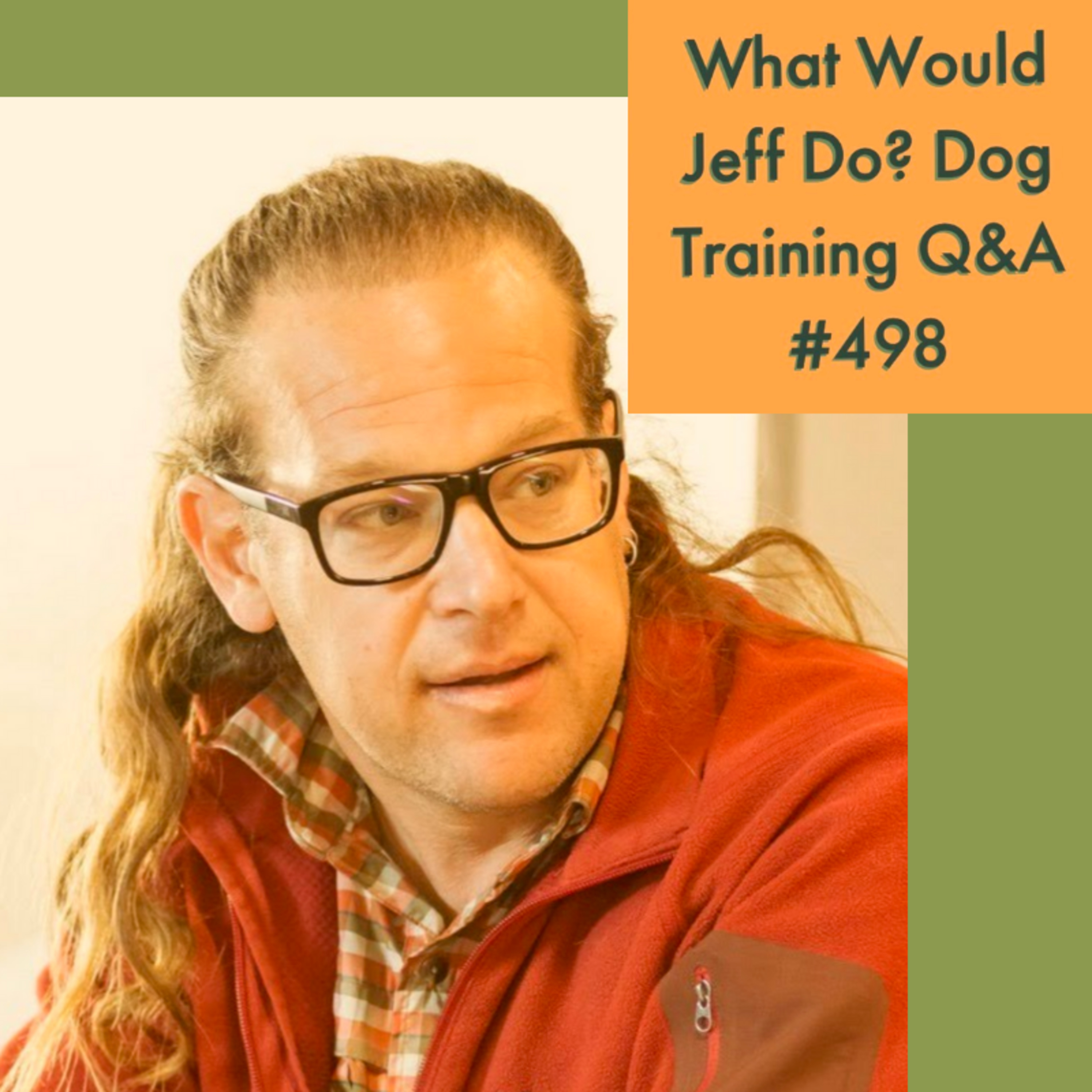 Stop a dog from redirecting | Eliminate Dogs barking | What Would Jeff Do? Dog Training Q & A #498 episode artwork