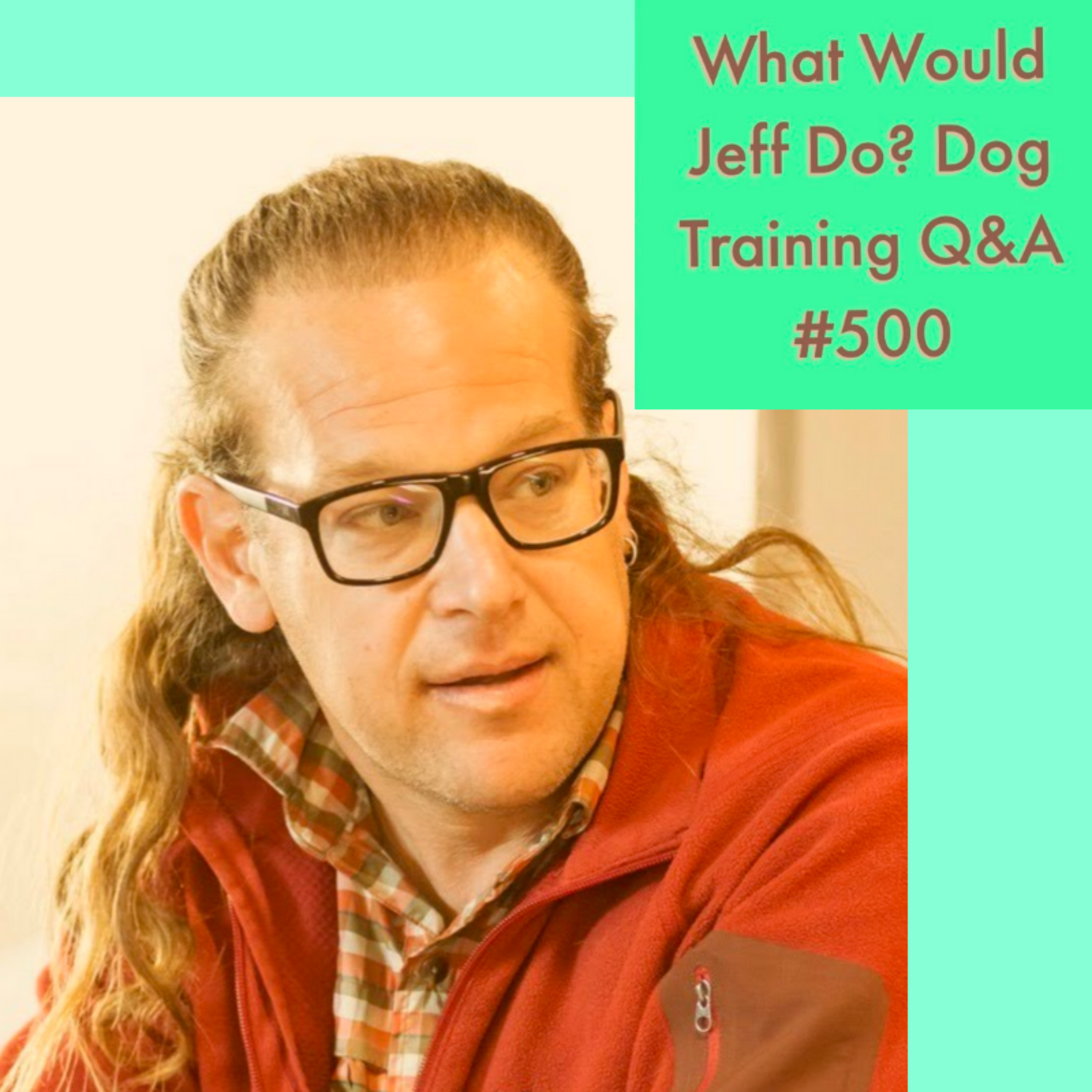 Training puppies | Correct dog jumping | What Would Jeff Do? Dog Training Q & A #500 episode artwork