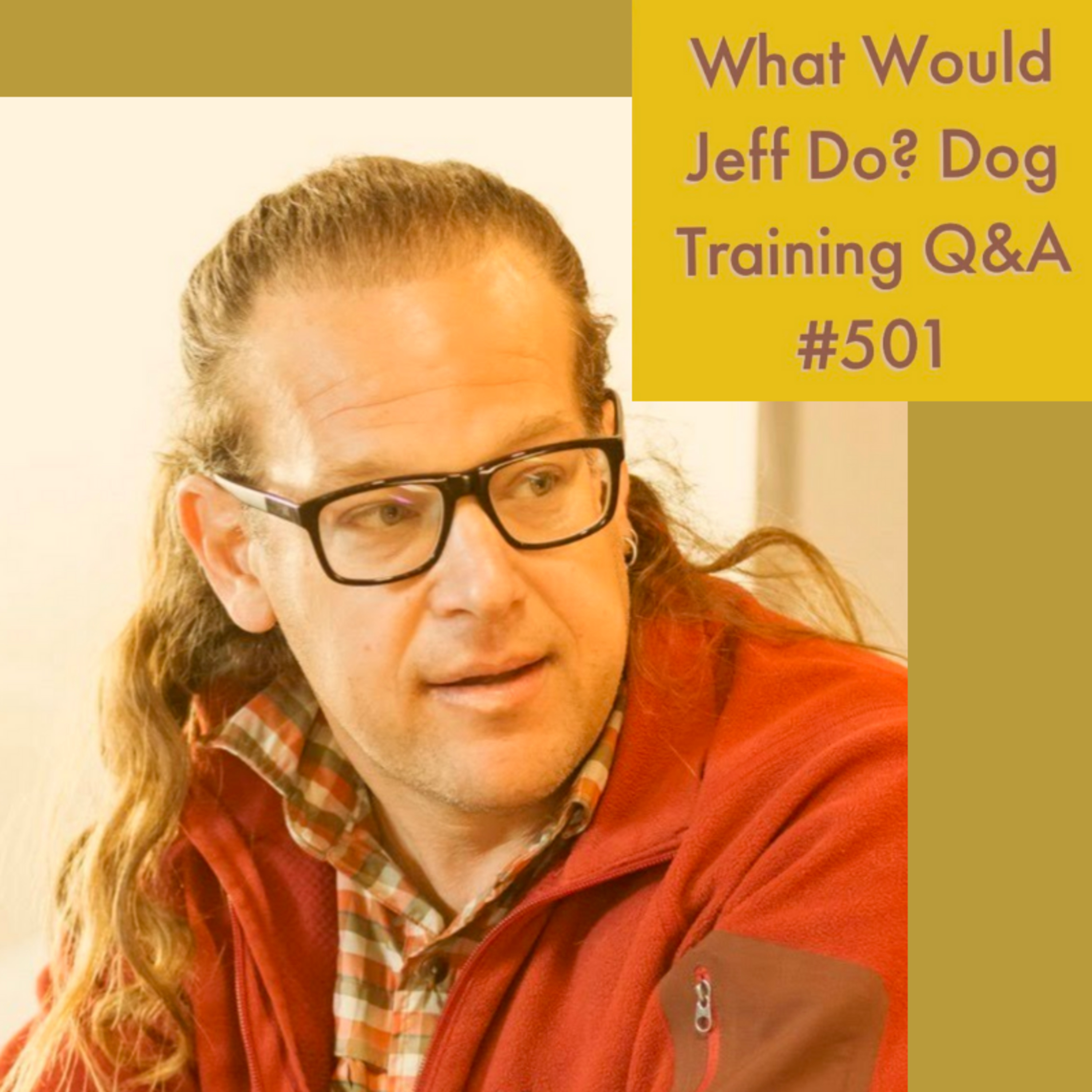 House train an adult dog | Teach dogs calm on command | What Would Jeff Do? Dog Training Q & A #501 episode artwork