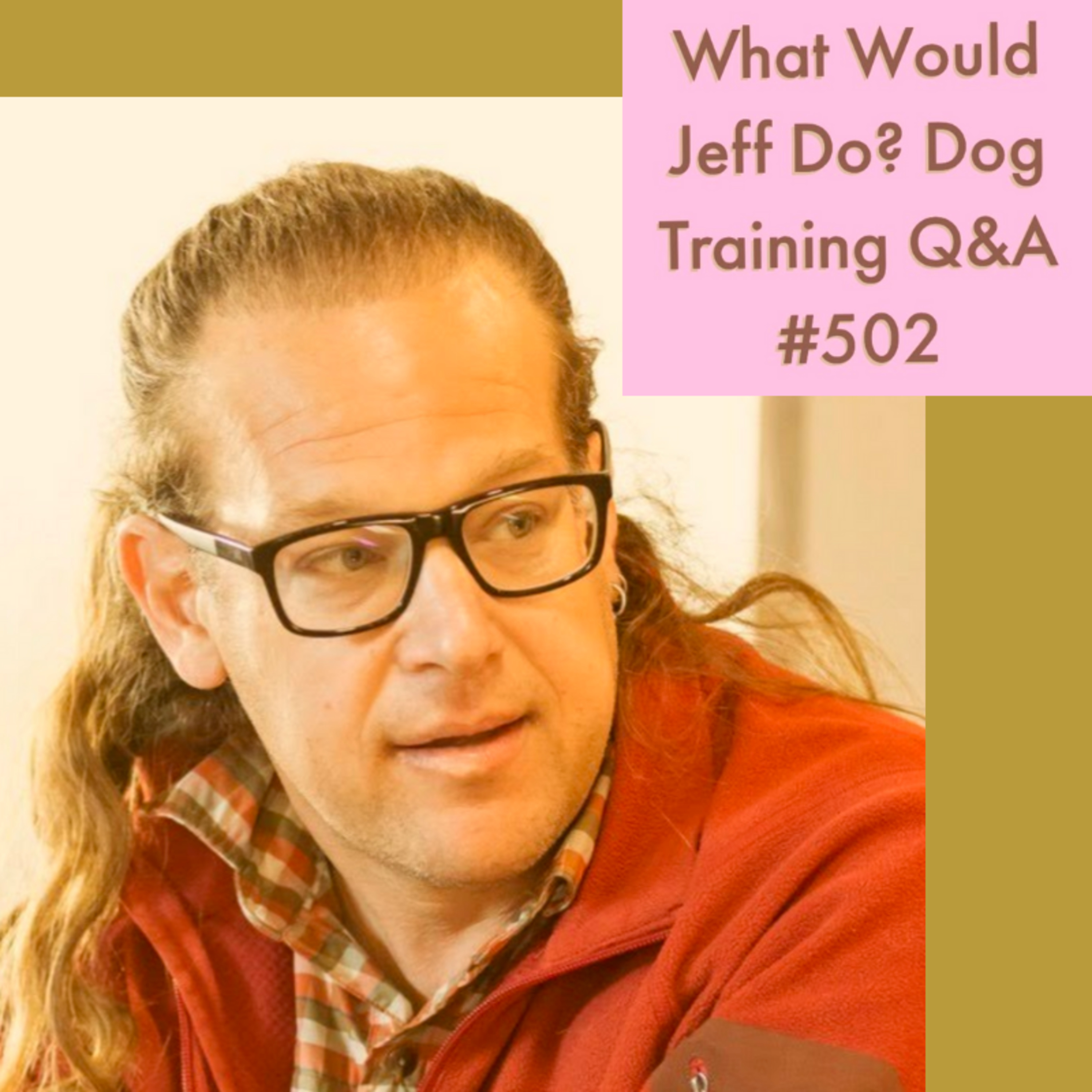 Dog whines on walks | Stop a dog from Barking | What Would Jeff Do? Dog Training Q & A #502 episode artwork