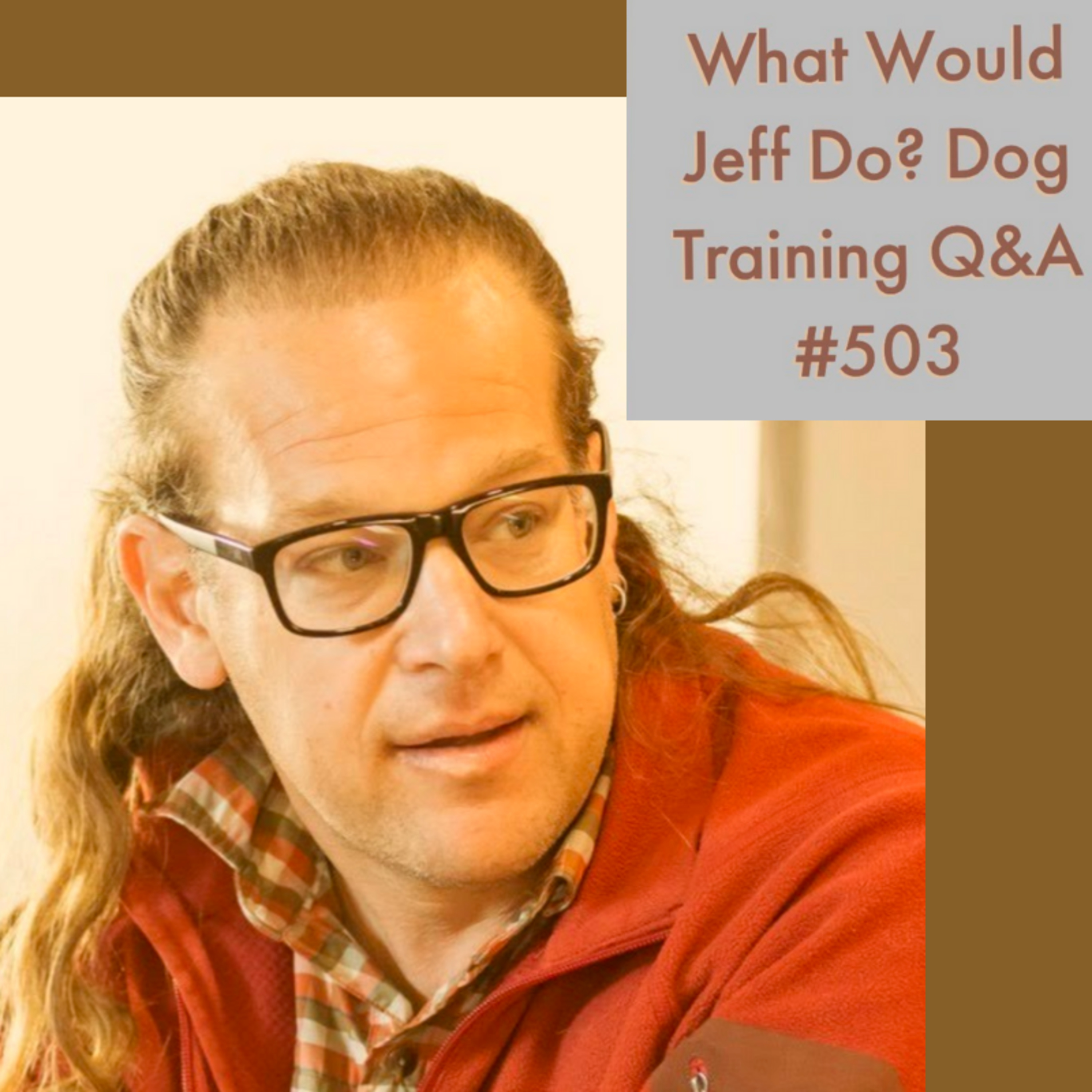 Stop dog barking | Introducing dogs to other dogs | What Would Jeff Do? Dog Training Q & A #503 episode artwork