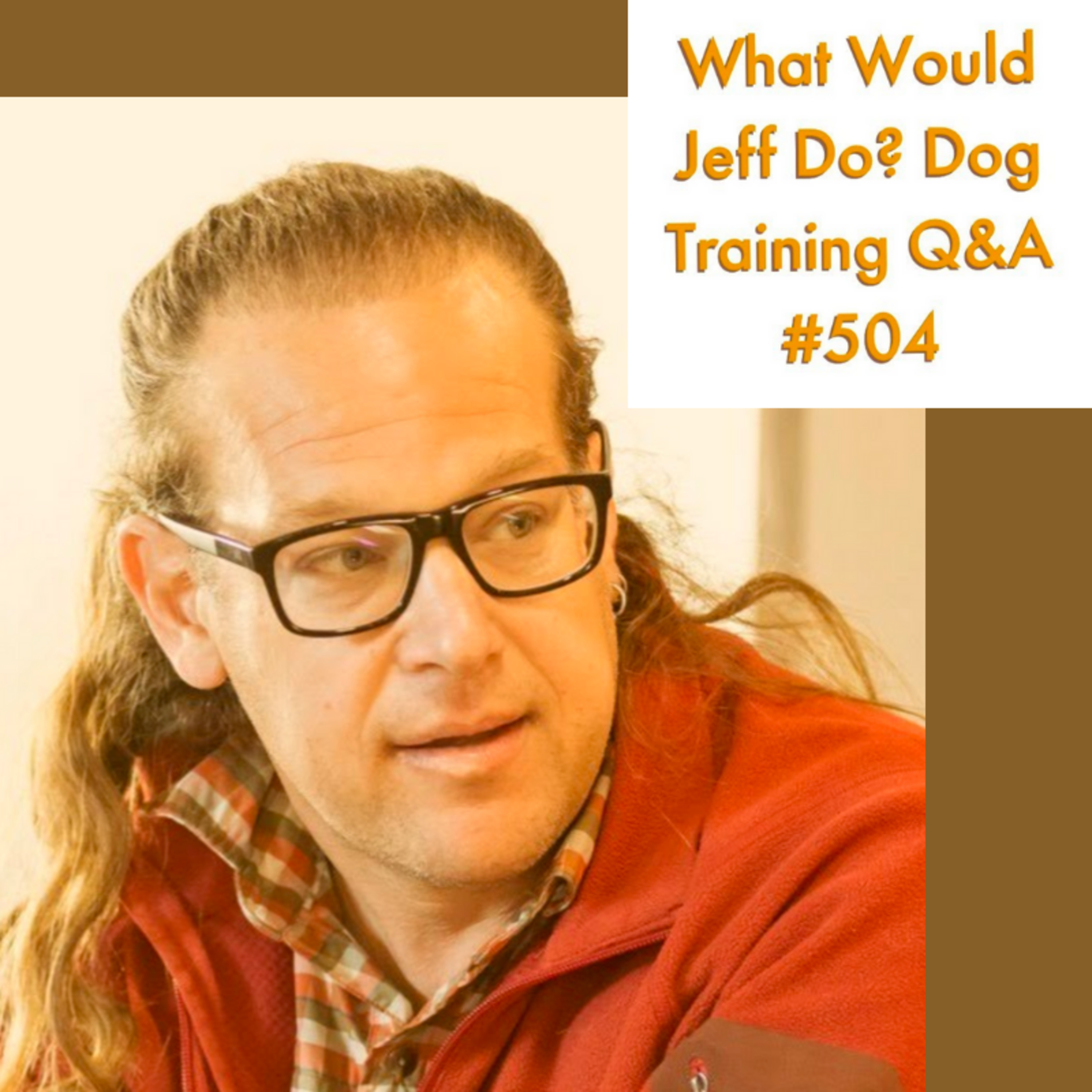 Train a dog that shuts down | Puppies scared of people | What Would Jeff Do? Dog Training Q & A #504 episode artwork