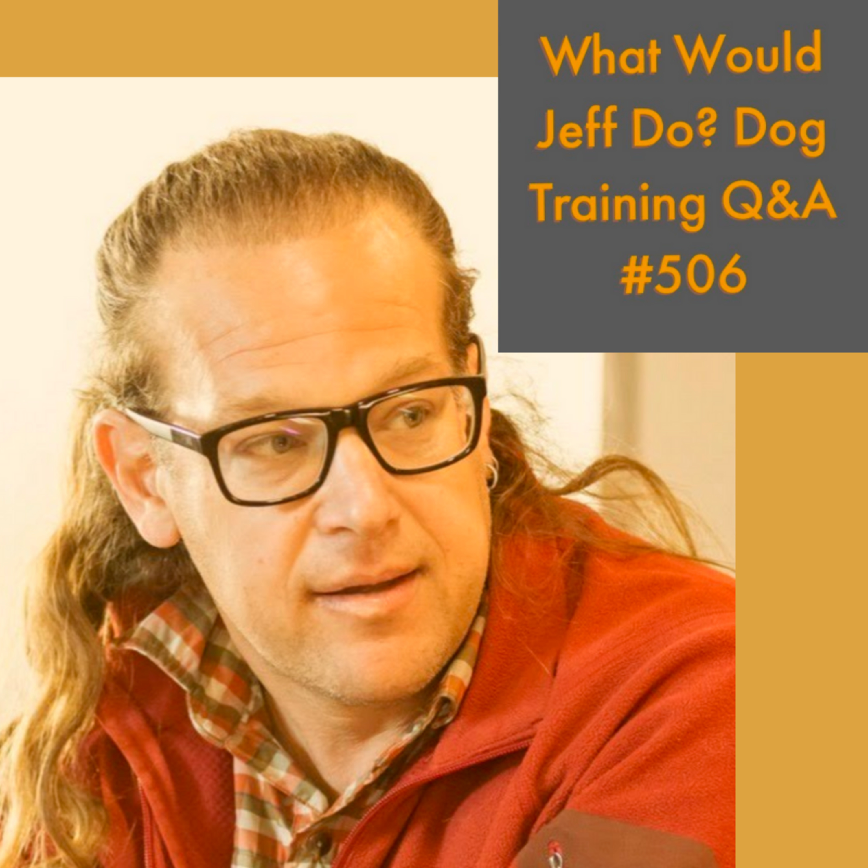 Dog and door bells | Stop a dog from marking | What Would Jeff Do? Dog Training Q & A #506 episode artwork